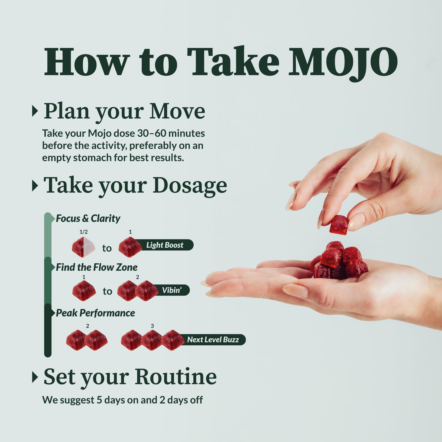 Mojo Focus Gummies 2 Pack