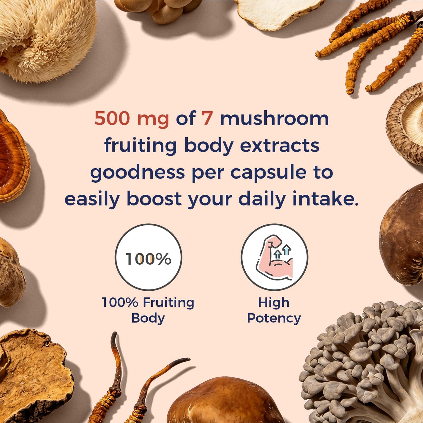 Vitalitown 7 Mushroom Complex High Potency Lion’s Mane, Cordyceps, Reishi, Turkey Tail, Chaga, Maitake, Shiitake 500 mg Concentrated Extract Capsules, 90 Count
