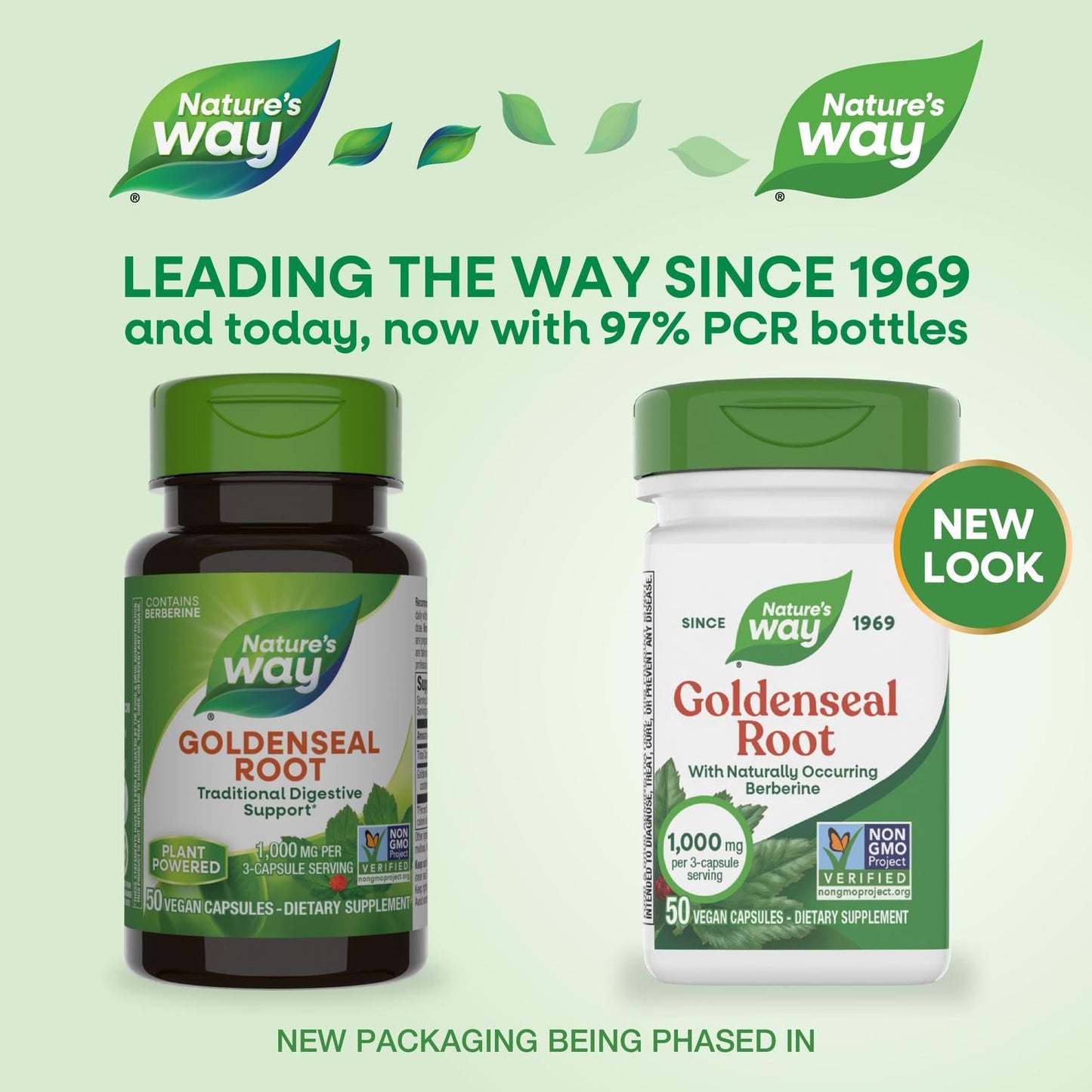 Nature's Way Goldenseal Root Capsule, 50 Count