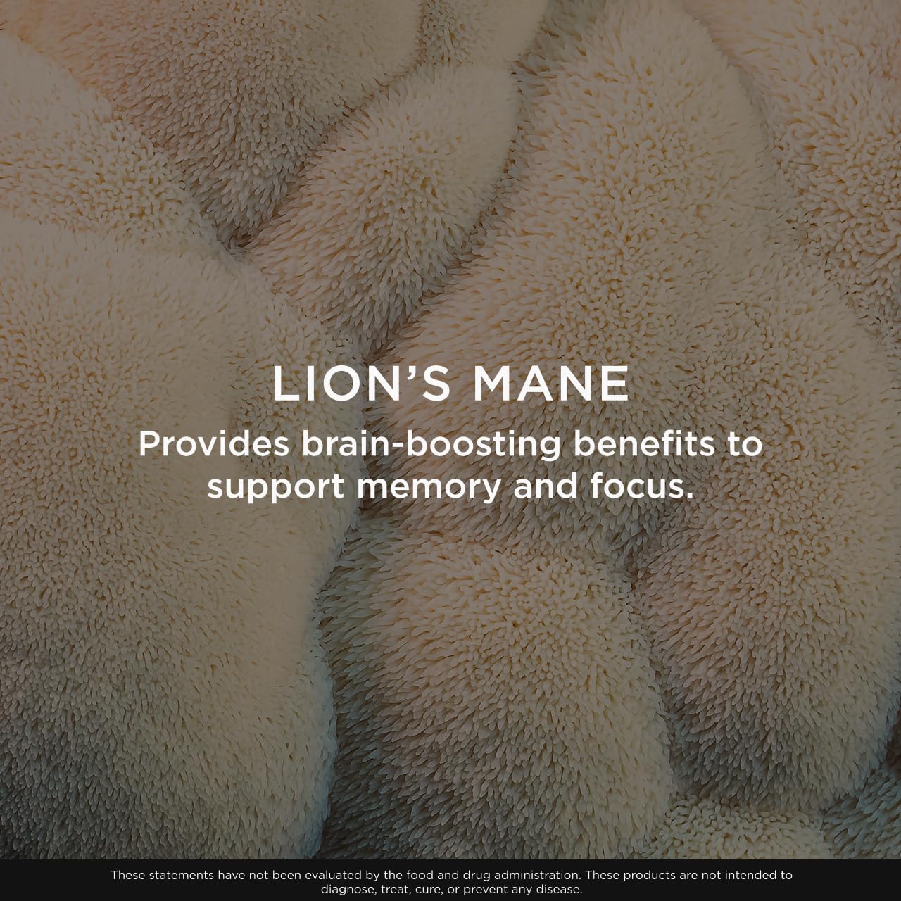 The Genius Brand Lion's Mane Chews Chewable 60 Count