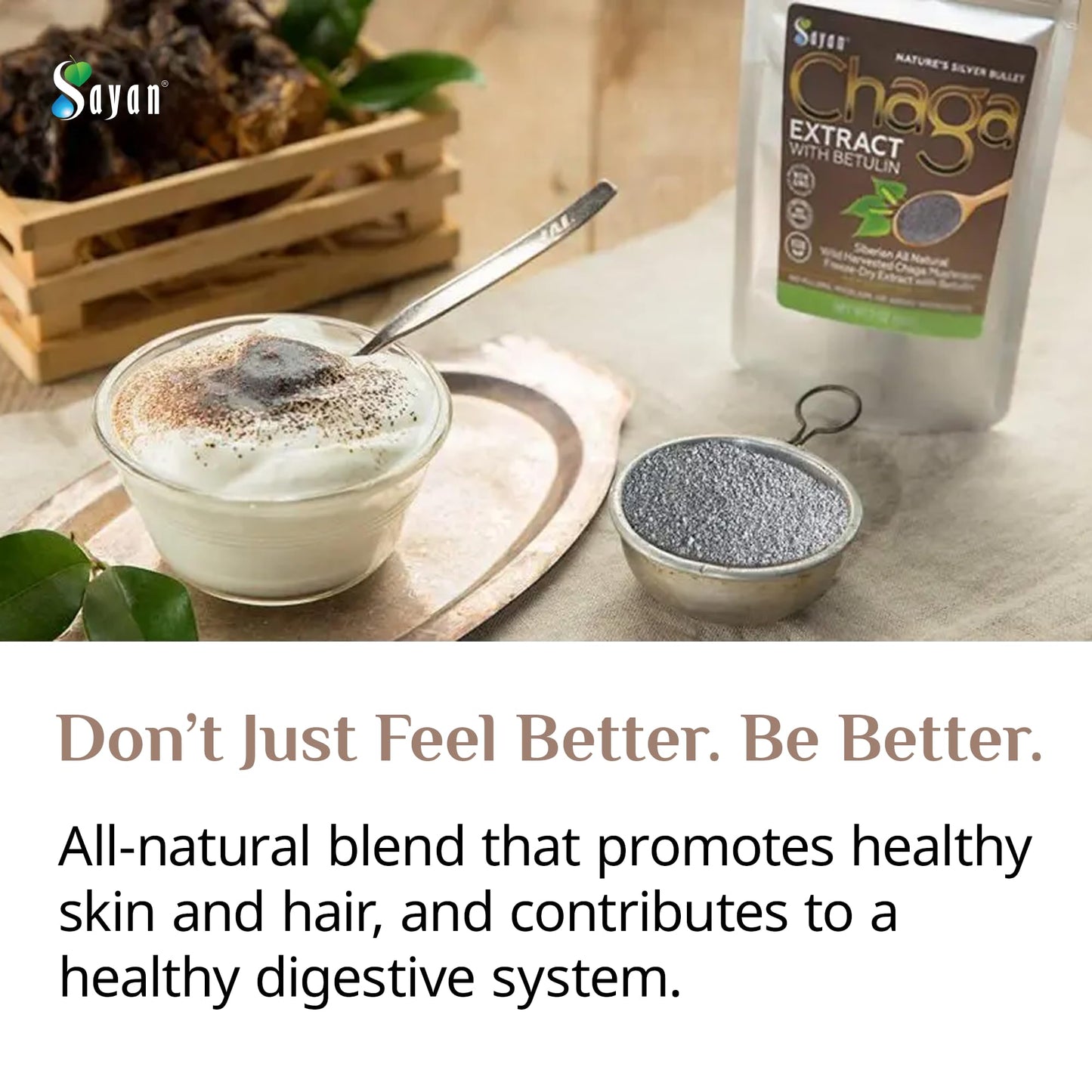 Sayan Siberian Chaga Mushroom Extract with Betulin Powder, 35.2 oz