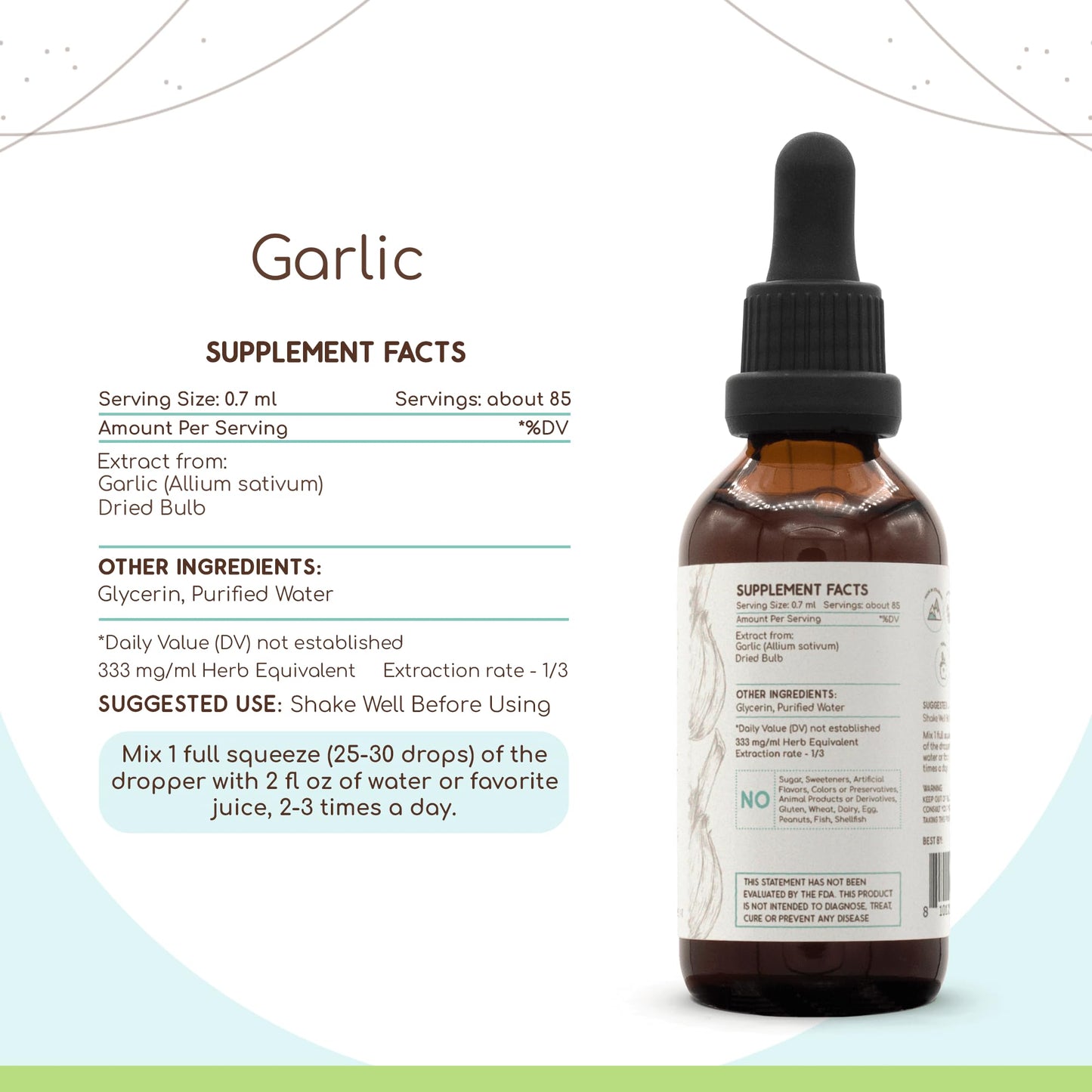 HerbEra Garlic B60 Alcohol-Free Herbal Extract Tincture Liquid Drops 2 Fl Oz