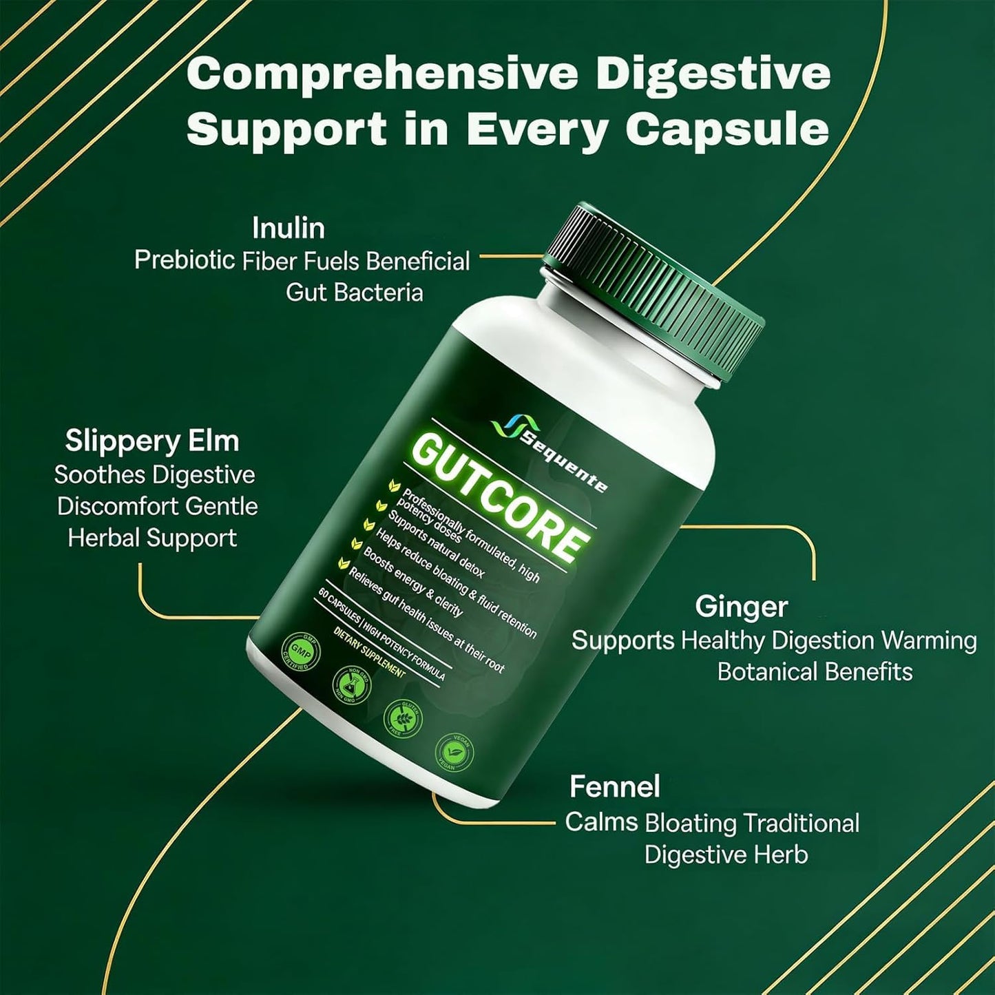 Glowrizon Sequente GutCore Max Strength Gut Drainage Capsules 60 Count