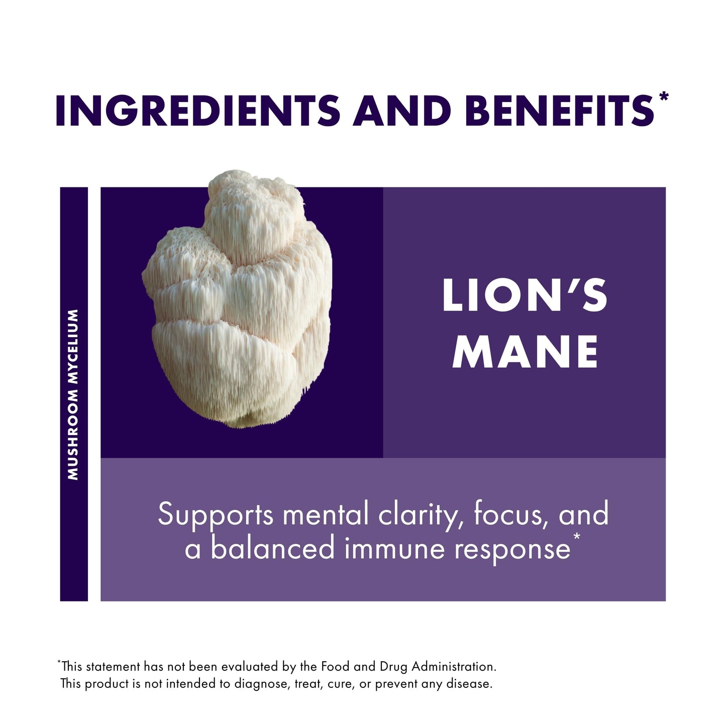 Host Defense Lion's Mane Mushroom Capsules, 120 Count
