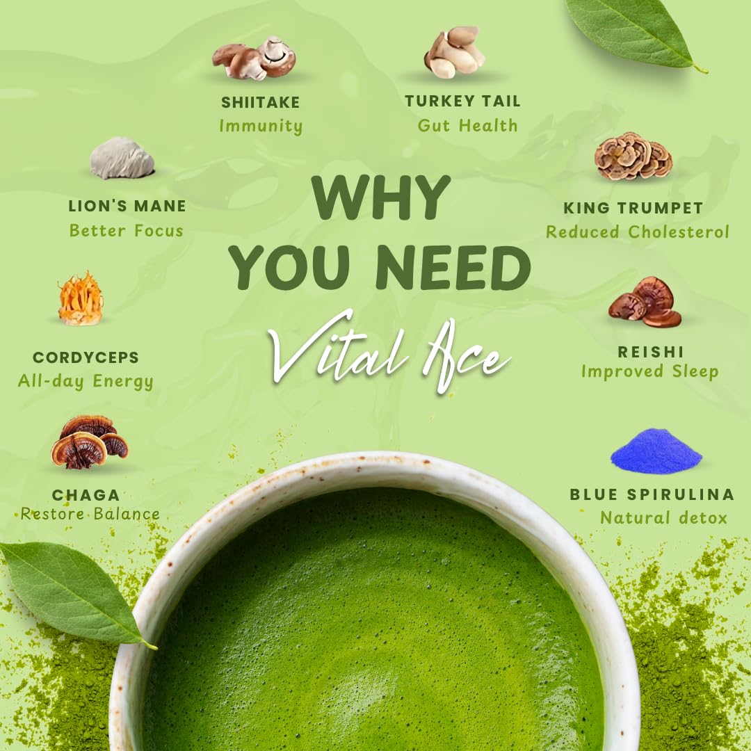 Vital Ace Mushroom Matcha Powder 6.3 oz