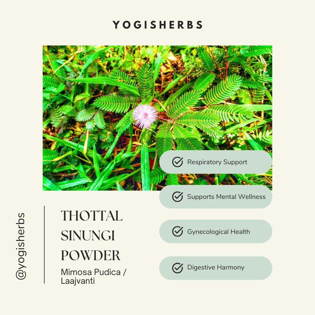 YOGIS HERBS Thottal Sinungi Powder 3.5 oz