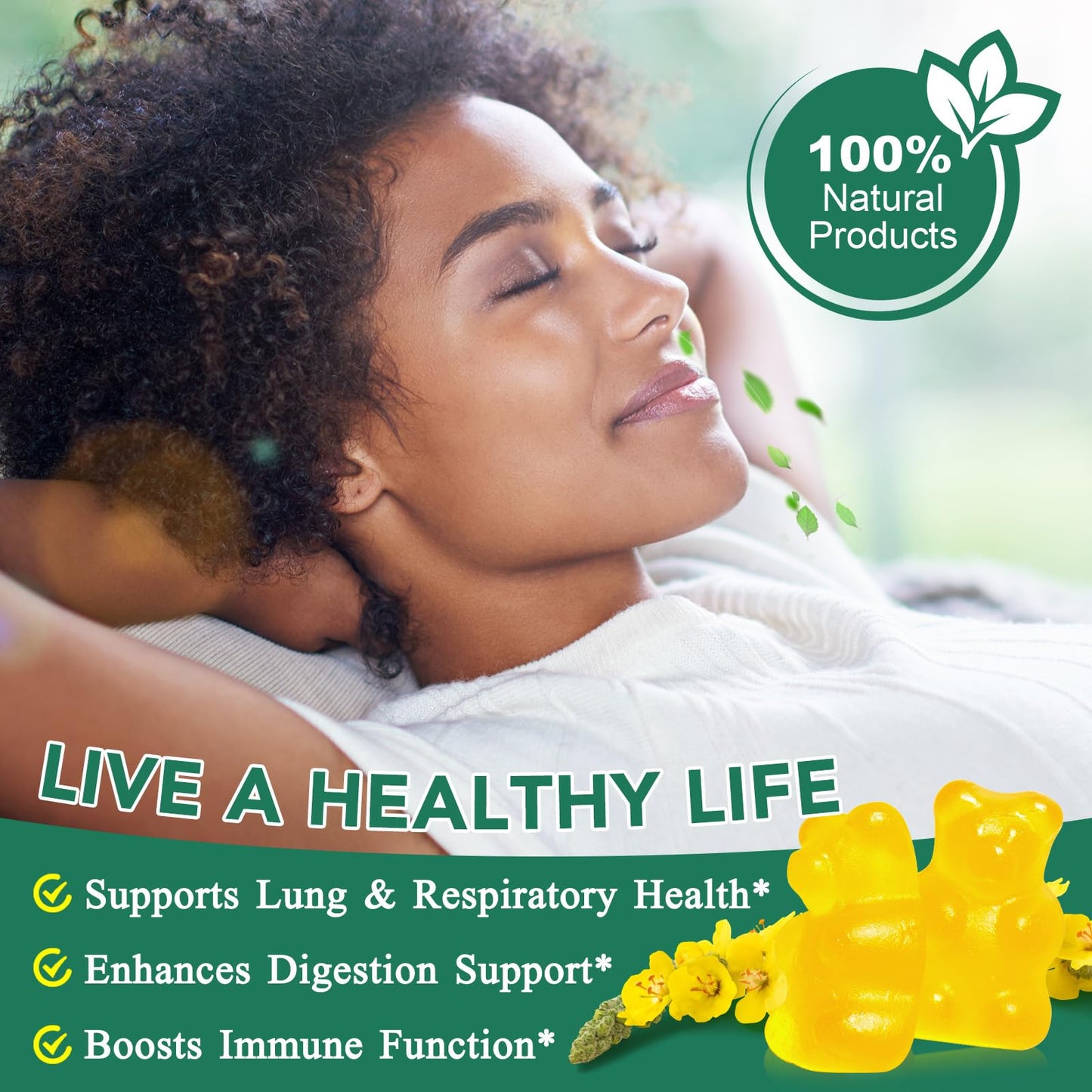 NIFEISHI Mullein Leaf Extract Capsules, 60 Count