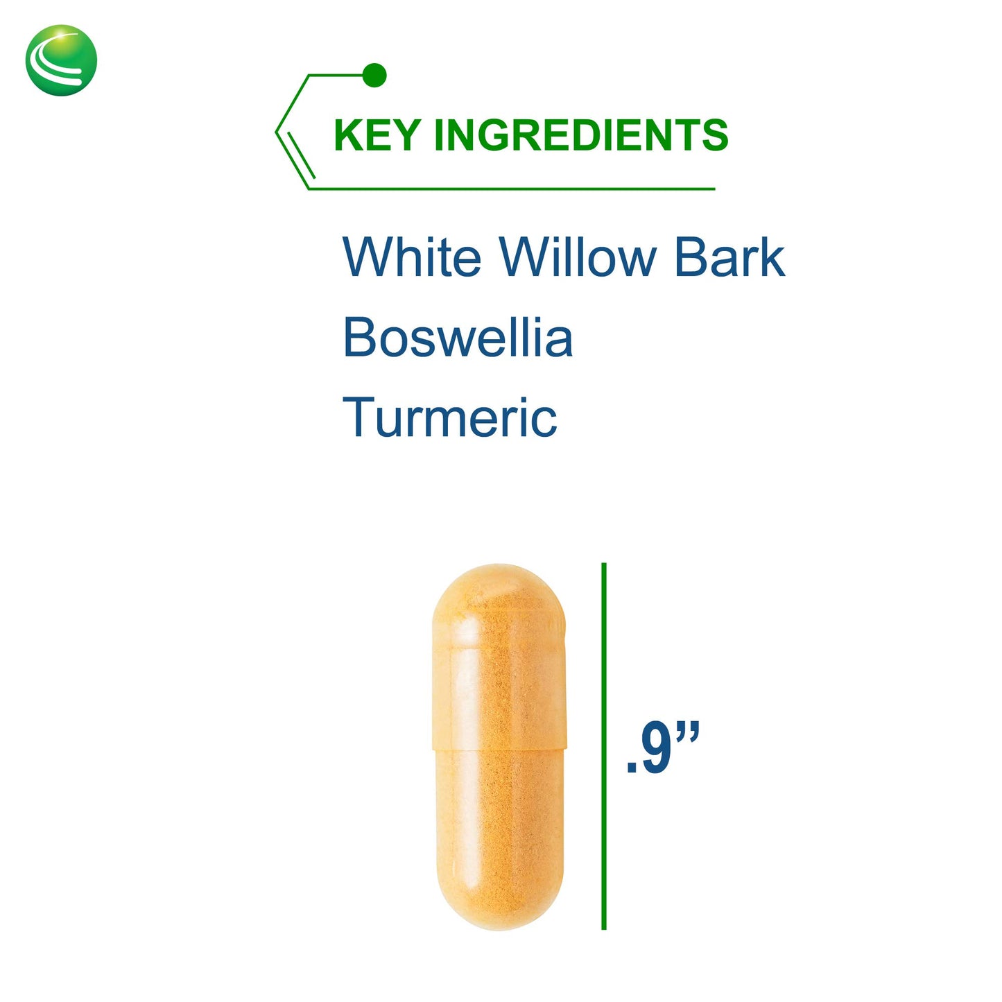 Nutra BioGenesis White Willow Forte Capsules 120