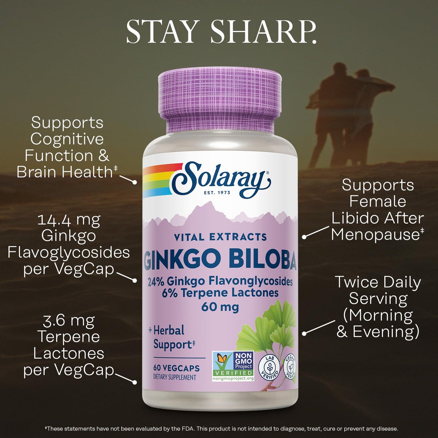 Solaray Ginkgo Biloba Extract Vital Extracts Brain Supplement Capsules - 60 Capsules