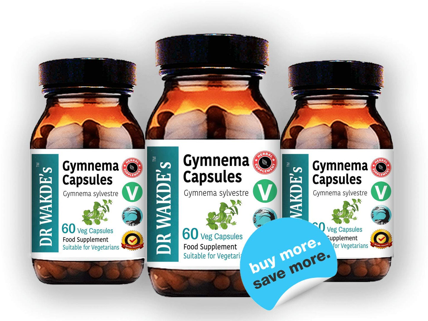 DR WAKDE's Gymnema Capsules 1 Count