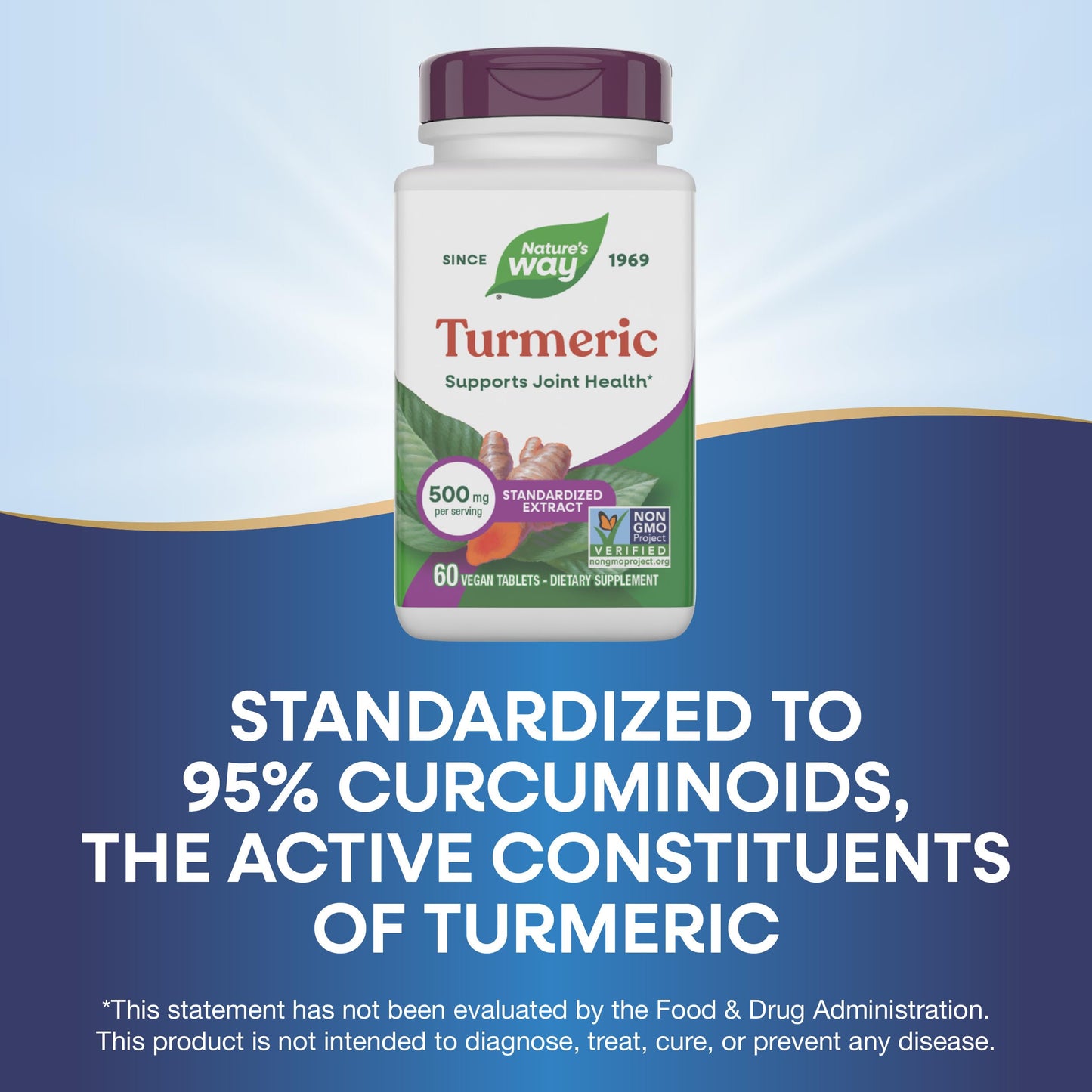 Nature's Way Turmeric Premium Extract Supports Joint Health*, Standardized to 95% Curcuminoids, 500 mg Serving, Non-GMO Project Verified Supplements, 60 Tablets