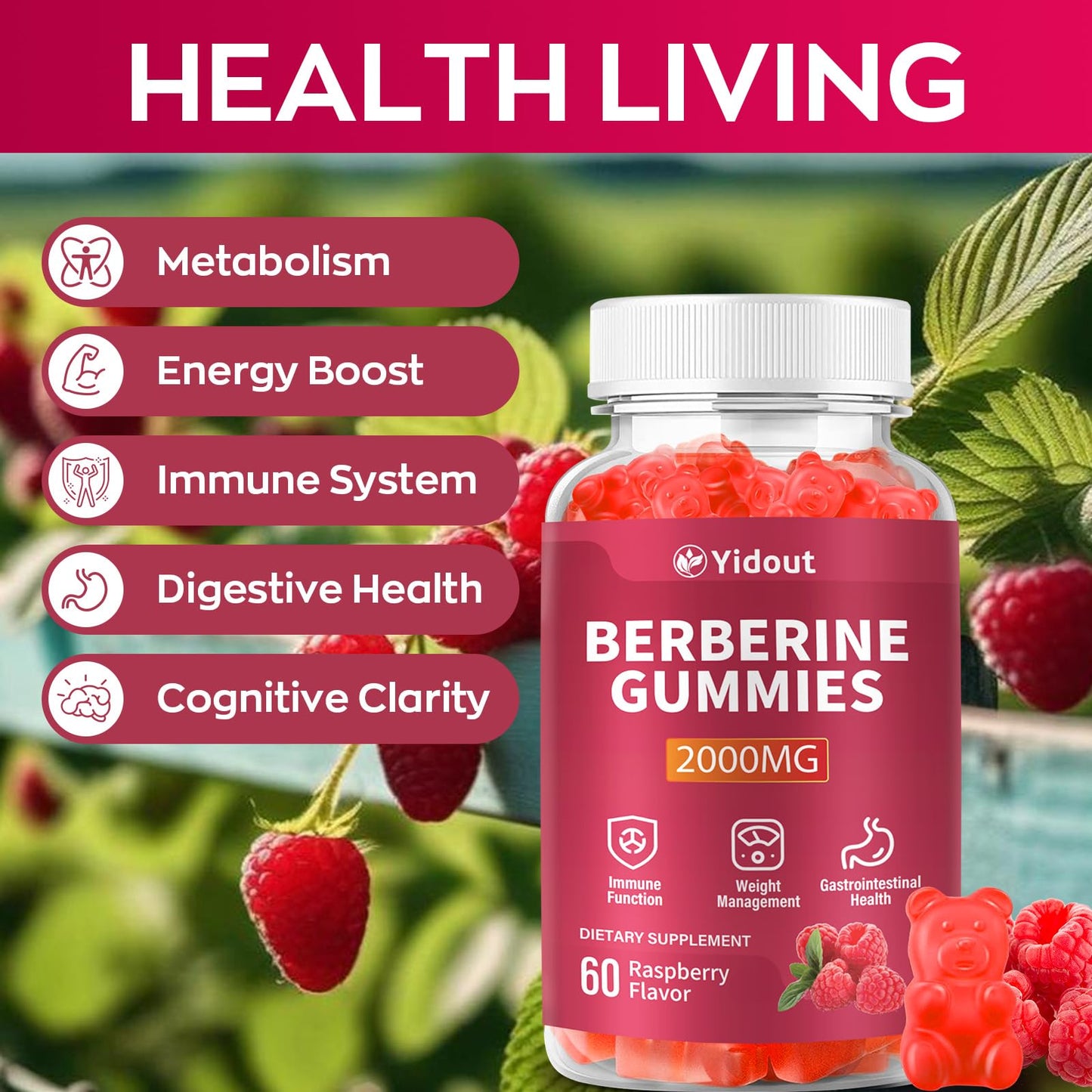 Yidout Berberine HCL 2000mg Gummies Raspberry, 60 Count