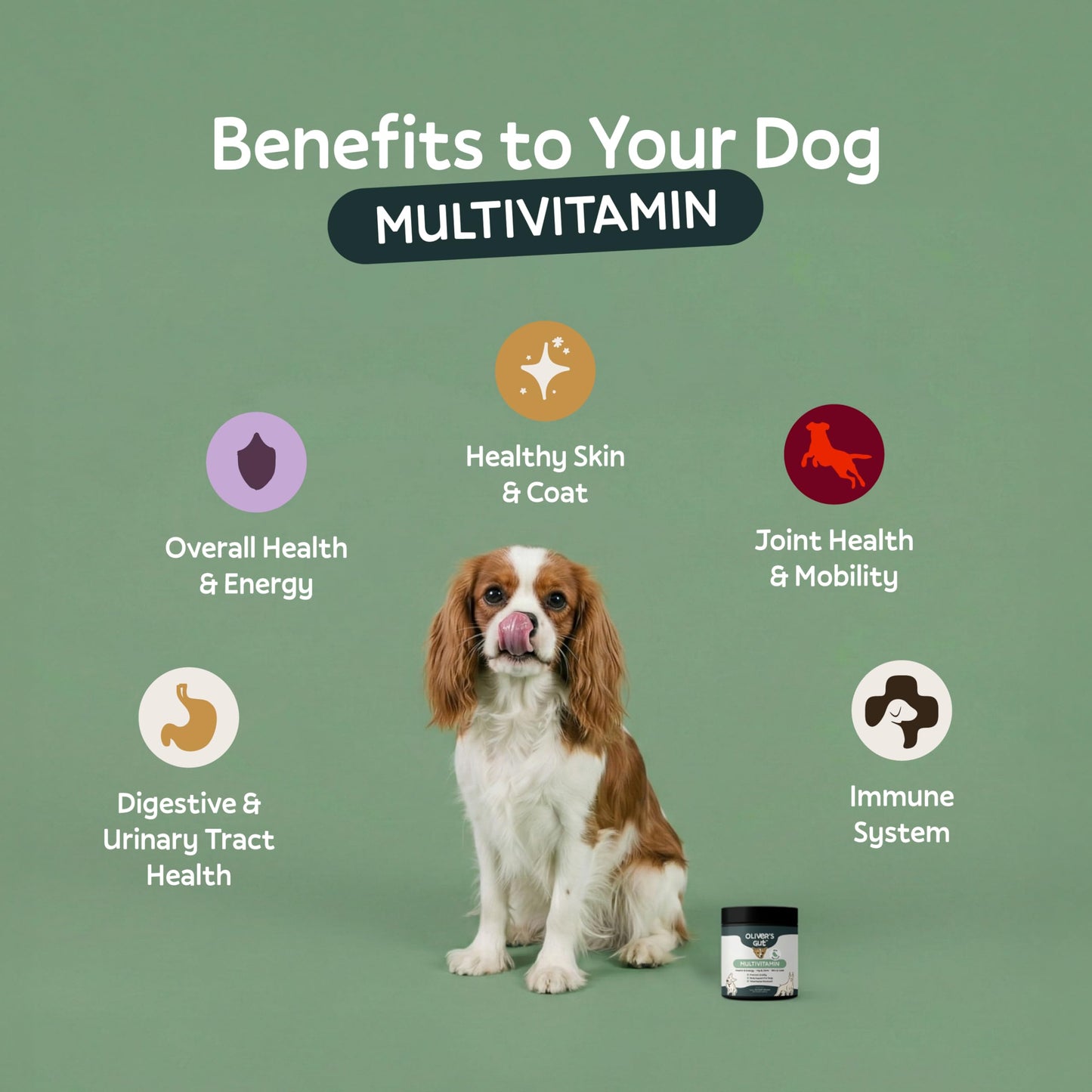 Oliver's Gut Dog Multivitamin Soft Chew, 9 Count