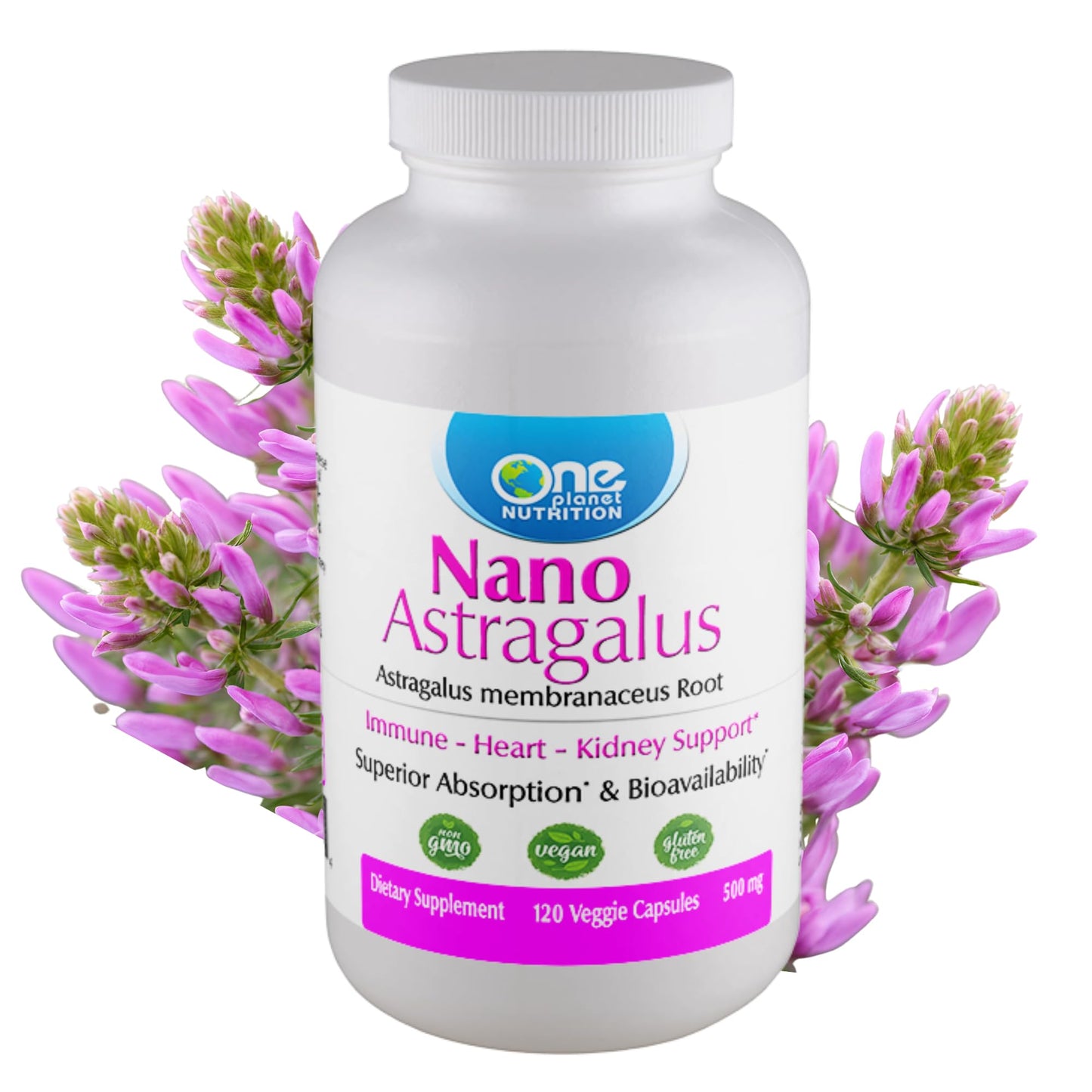 One Planet Nutrition Nano Astragalus 500 mg Veggie Capsules, 120 Capsules