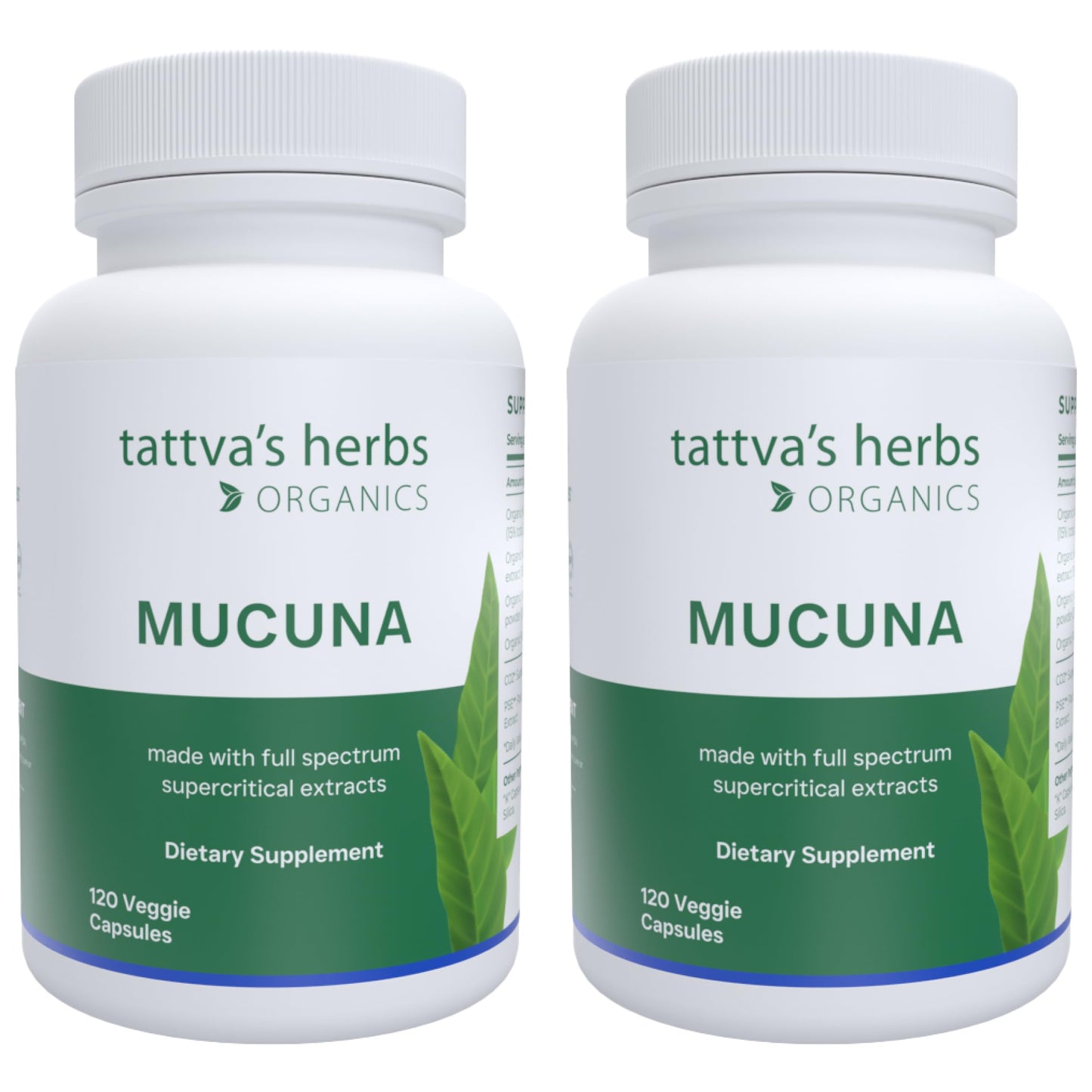 Tattva's Herbs Organic Mucuna Pruriens – Natural L-Dopa, Dopamine Support, Vegan & Gluten-Free, 240 Capsules (2-Pack)