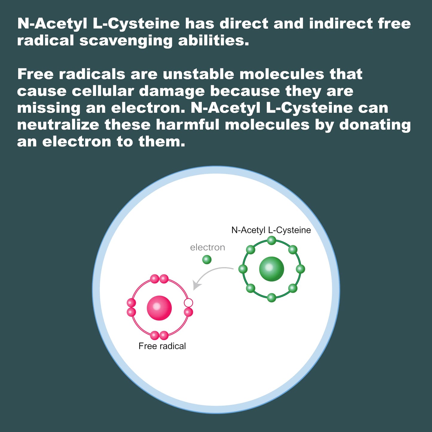 LifeLink NAC (N-Acetyl L-Cysteine) 600 mg Capsule 120 Count