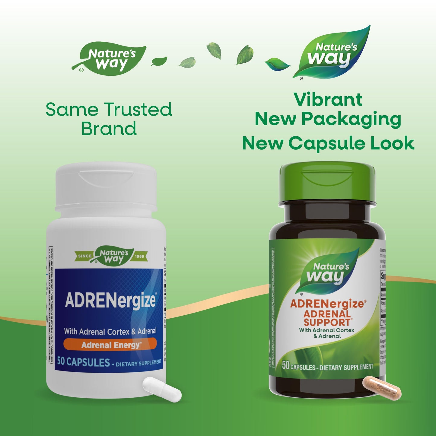 Nature's Way ADRENergize Adrenal Support Capsule, 50 Count
