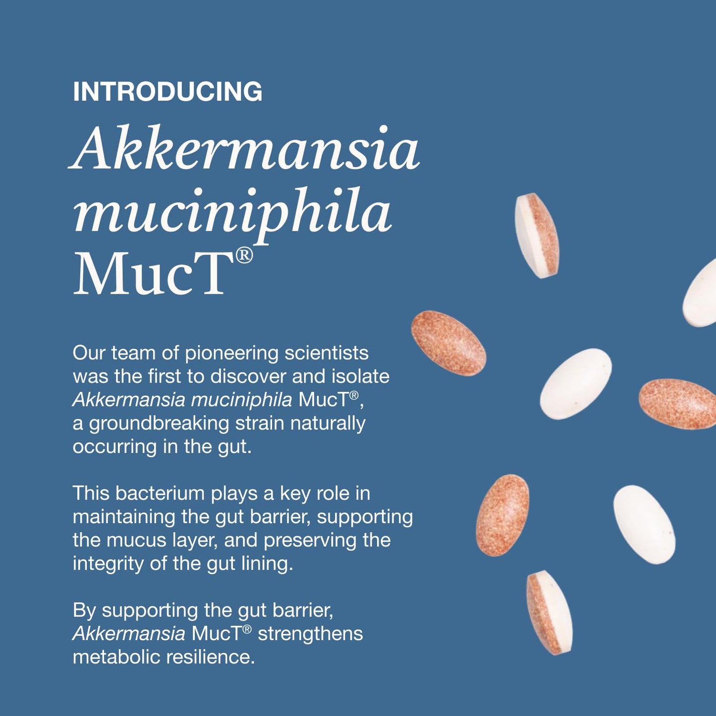 METAbiotics The Akkermansia Company Weight Manager Supplement, Akkermansia MucT, GLP-1, 1 Tablet