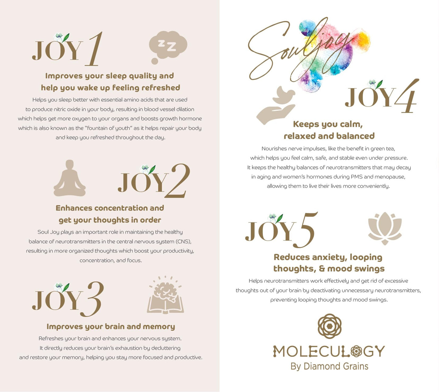 Diamond Grains Soul Joy & Brain Booster Capsules 30