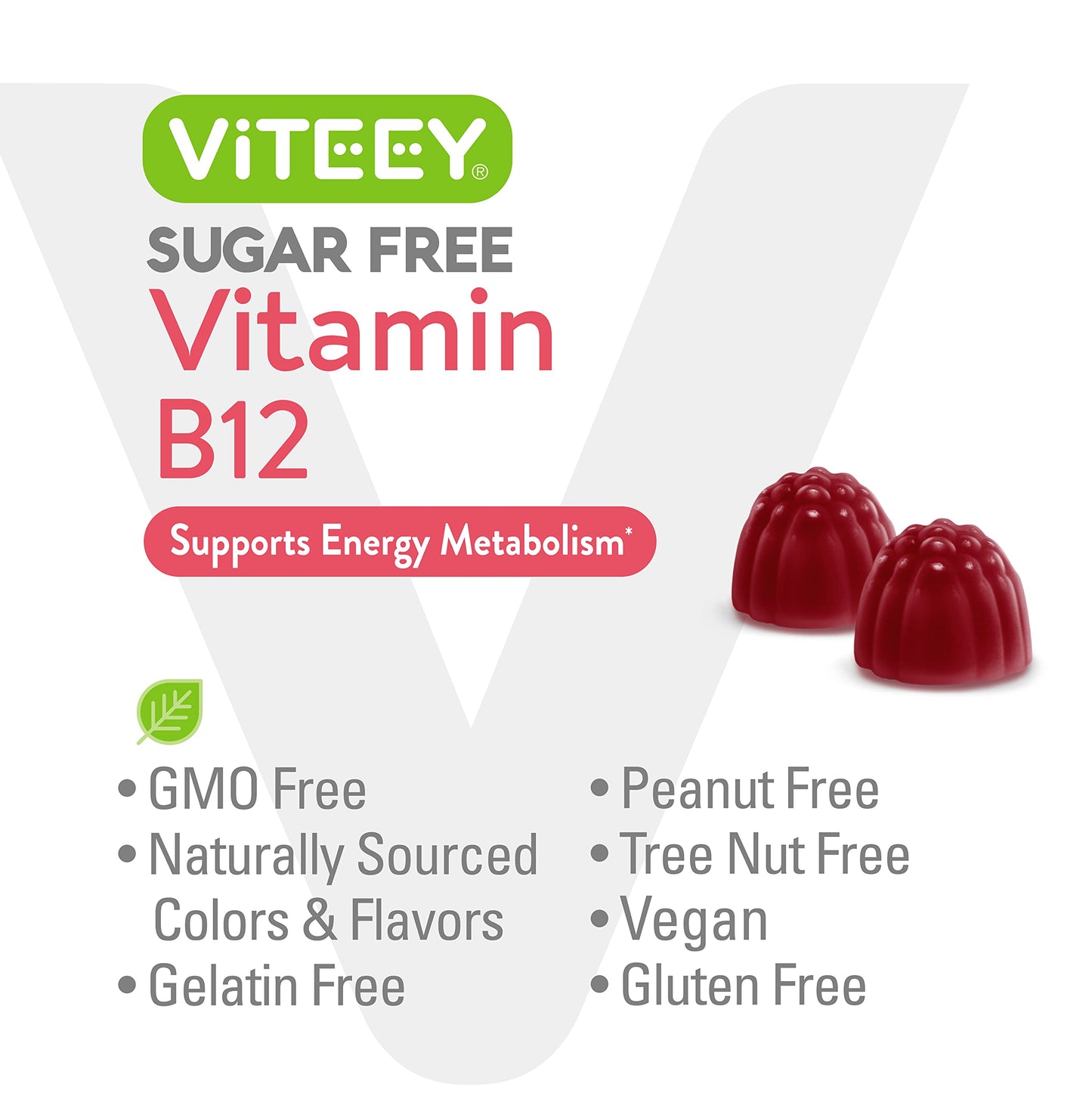 Viteey Vitamin B12 1000mcg Gummies, 120 Count