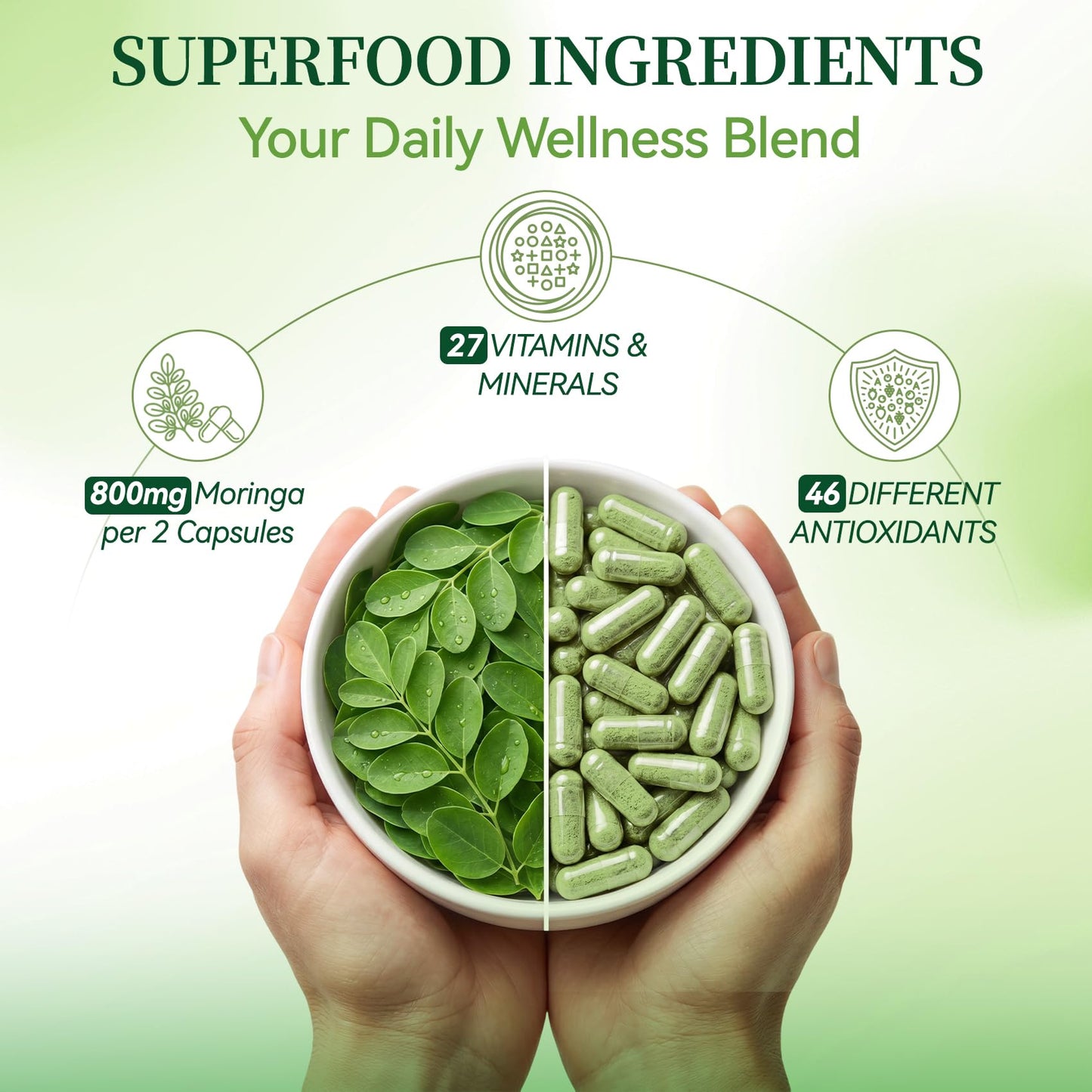 Polvaritho Organic Moringa Oleifera 800mg Capsule, 60 Capsules