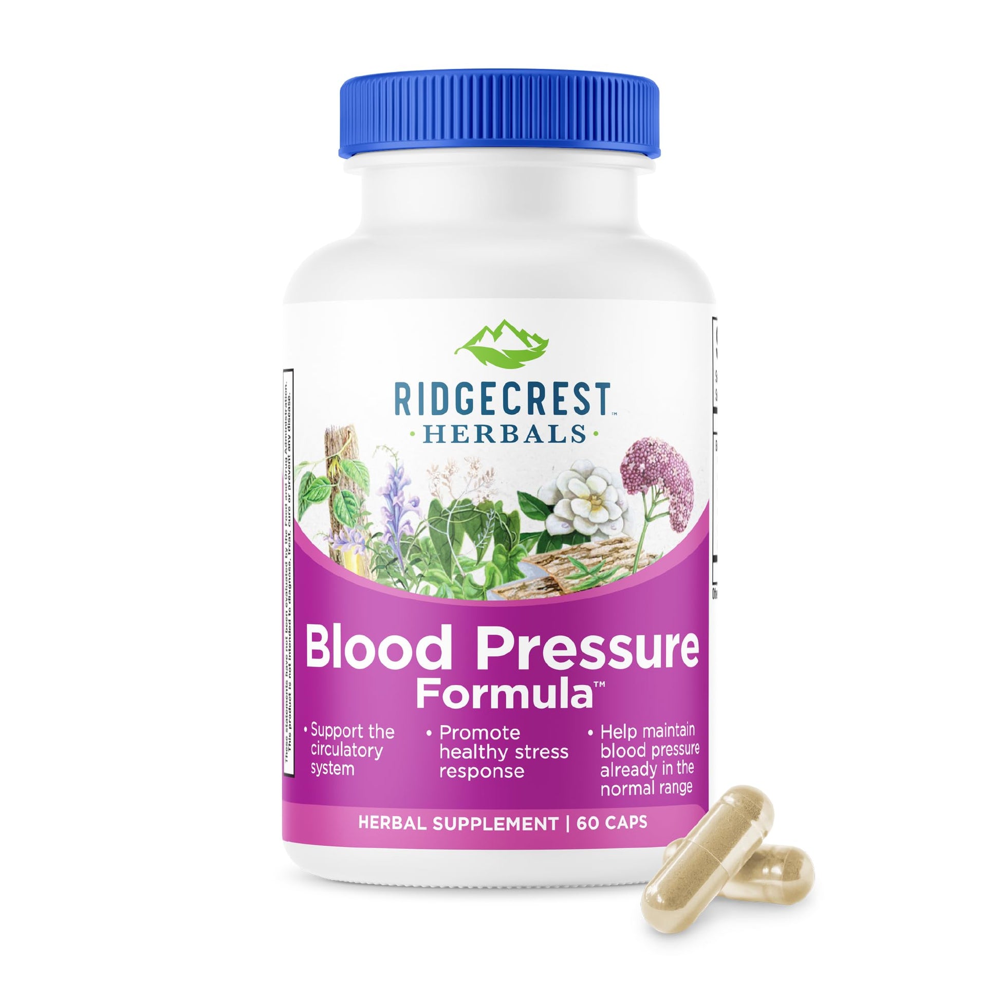 RidgeCrest Herbals Blood Pressure Herbal Formula, 12 Herbs, Poria Mushroom, Gastrodia, Gardenia, for Heart, Vascular, Circulation Health Capsule, 60 Count