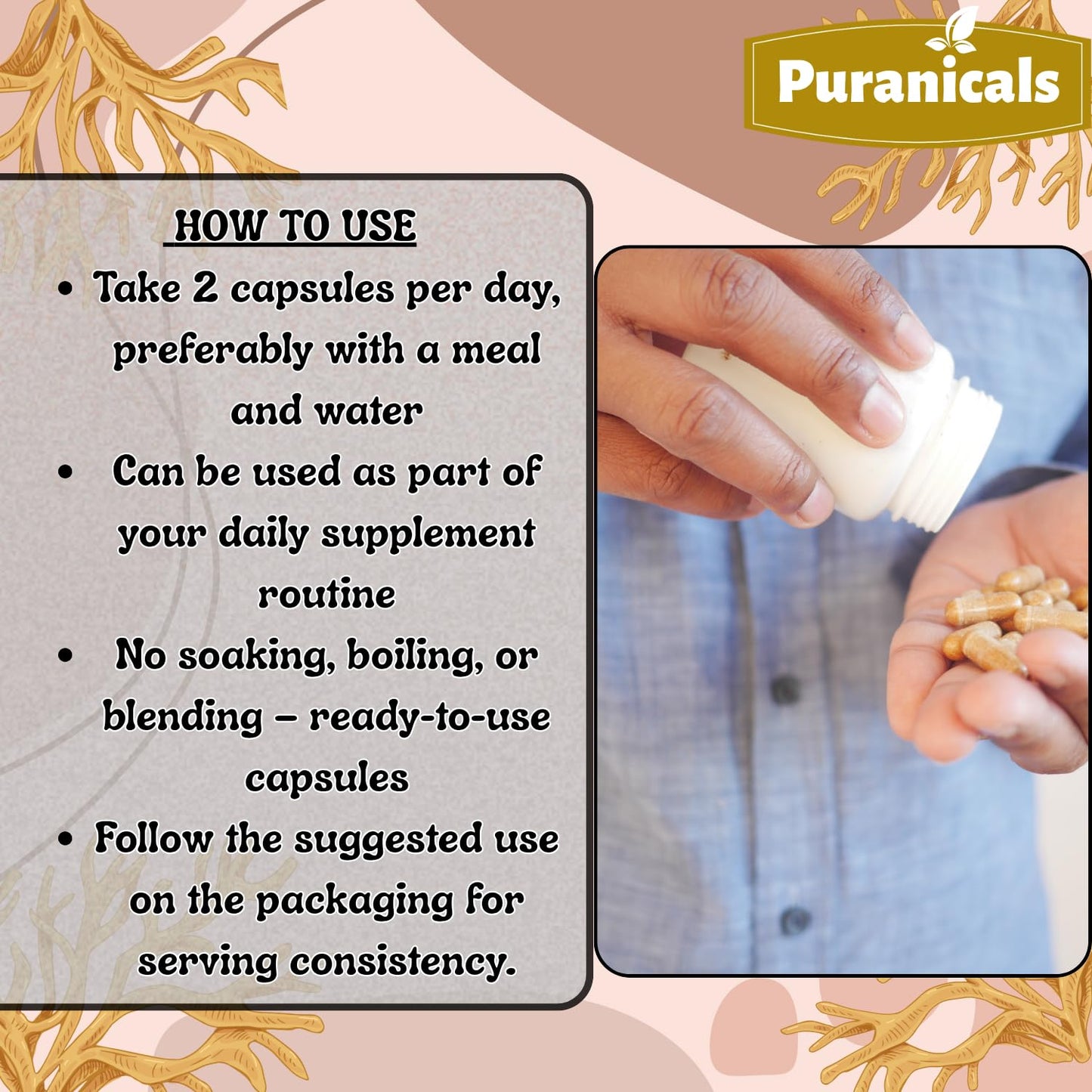 Puranicals Irish Sea Moss Premium Capsules 320 Count
