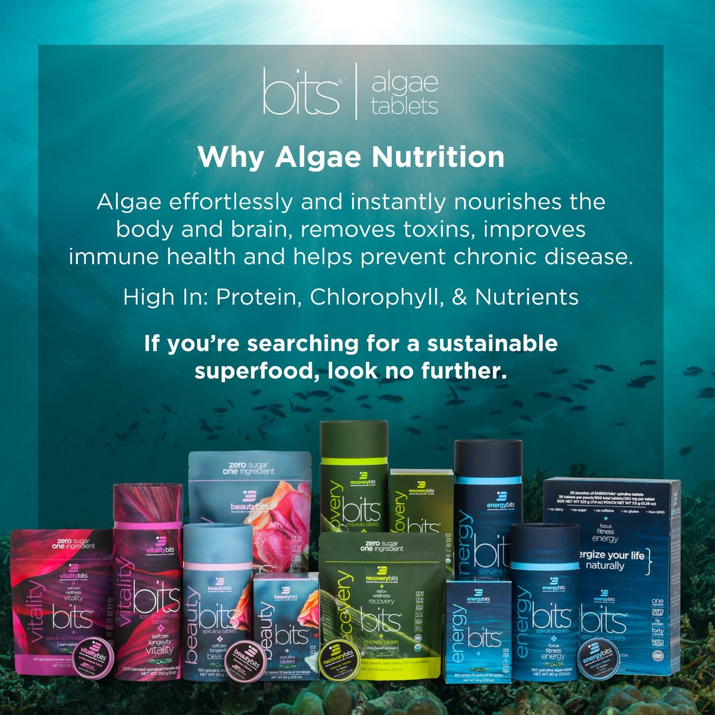 ENERGYBITS VITALITYbits Organic Blended Spirulina & Chlorella 900 Tablets