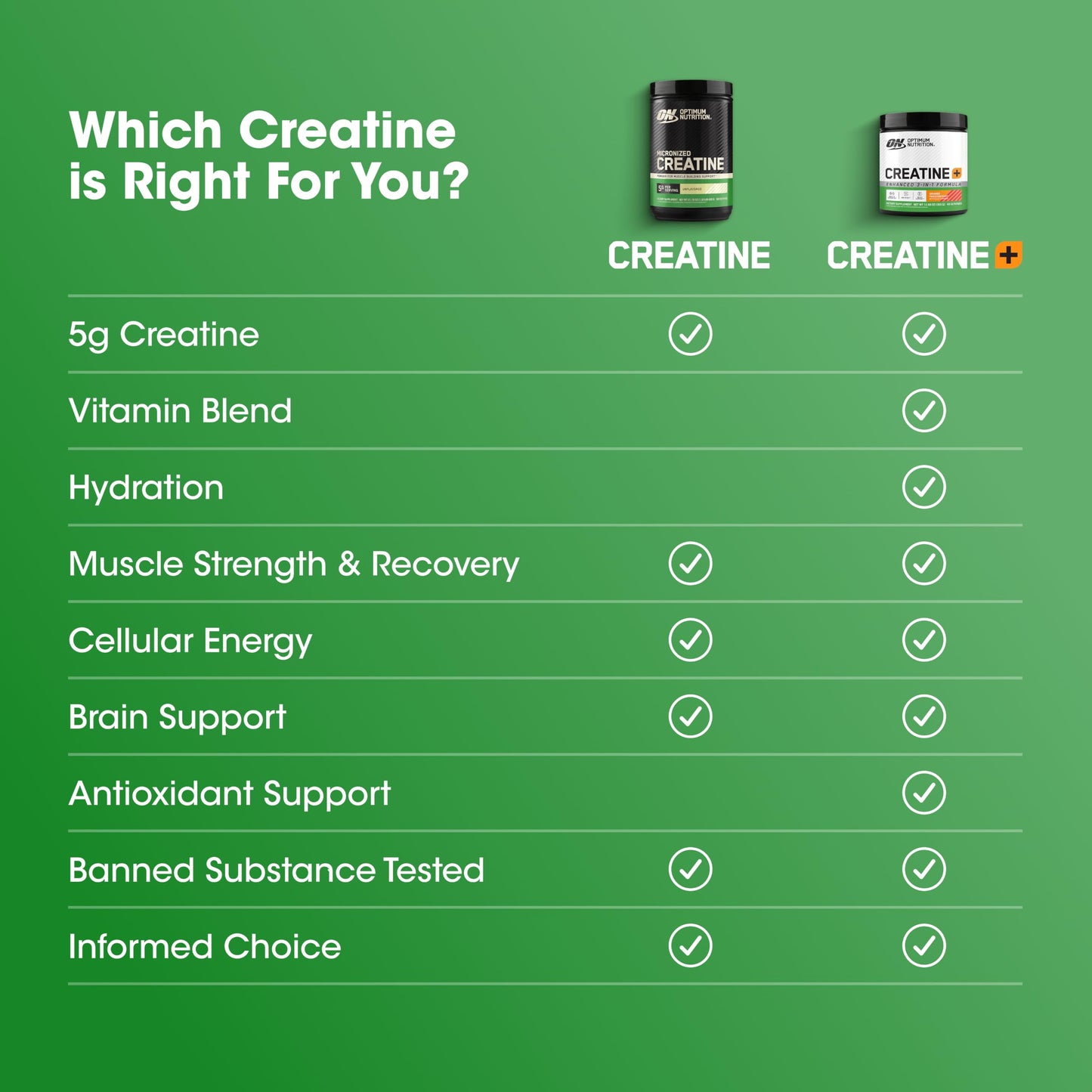 Optimum Nutrition Creatine Micronized Monohydrate Powder 120 Servings