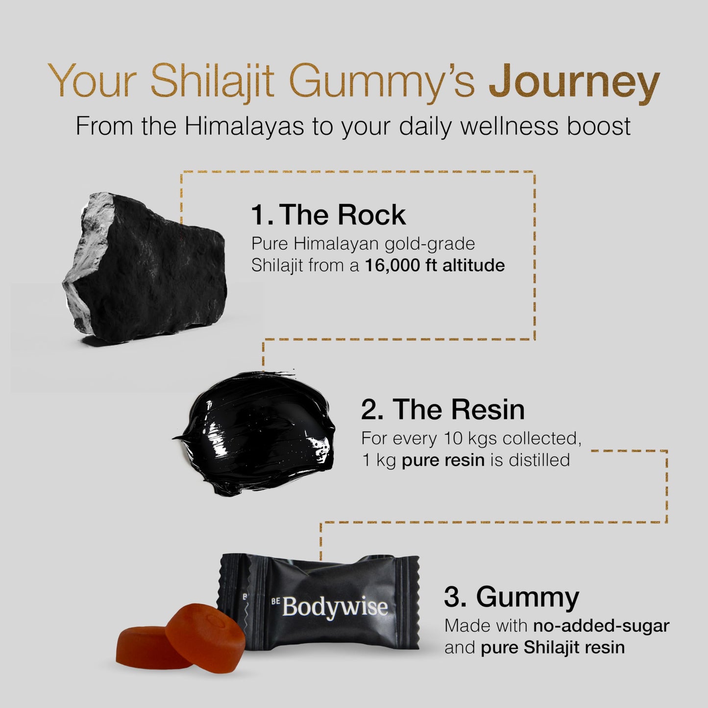 Be Bodywise Pure Himalayan Shilajit Gummies 120 Gummies