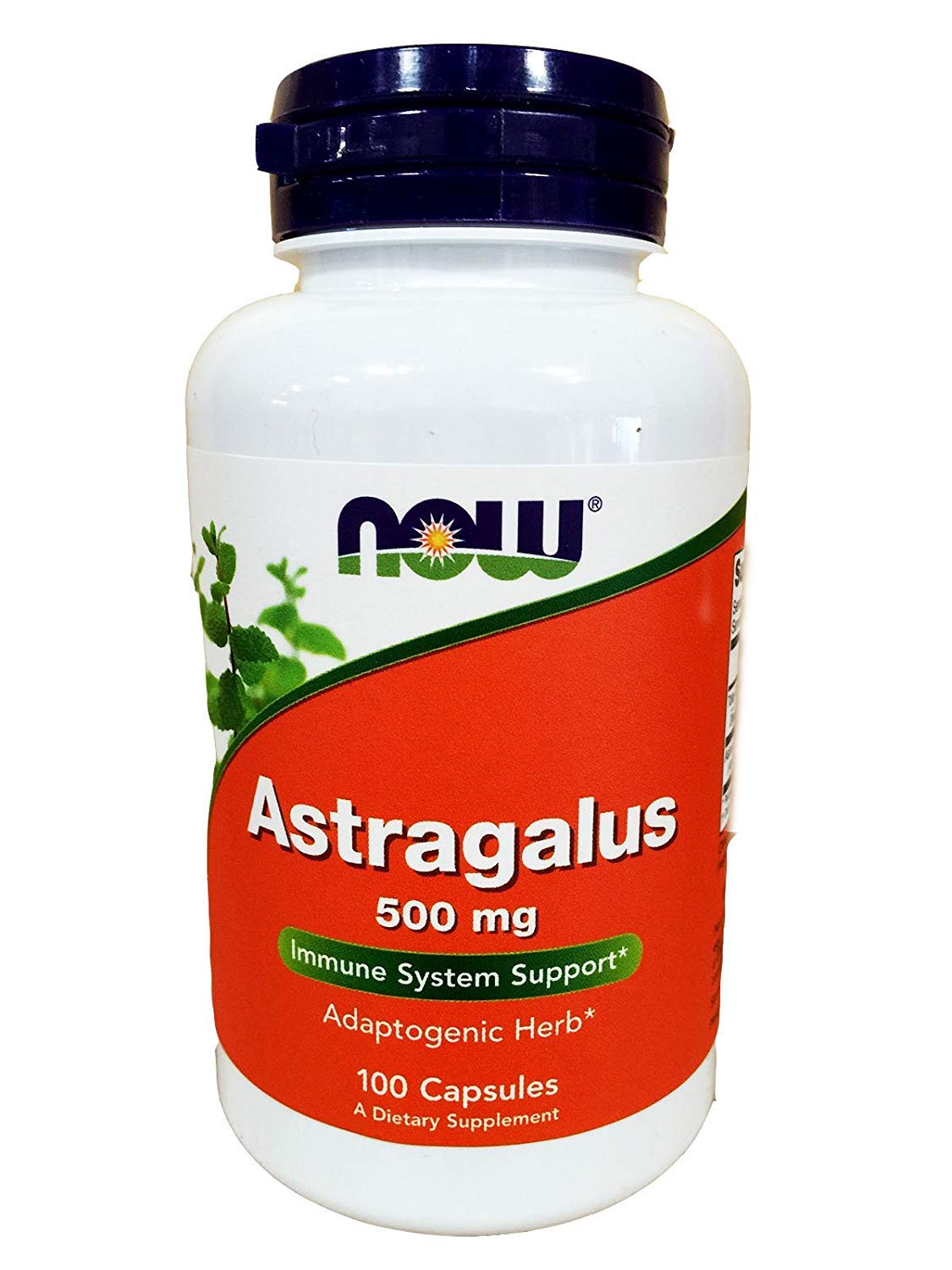 NOW Foods Astragalus 500 mg Capsules, 200 Count