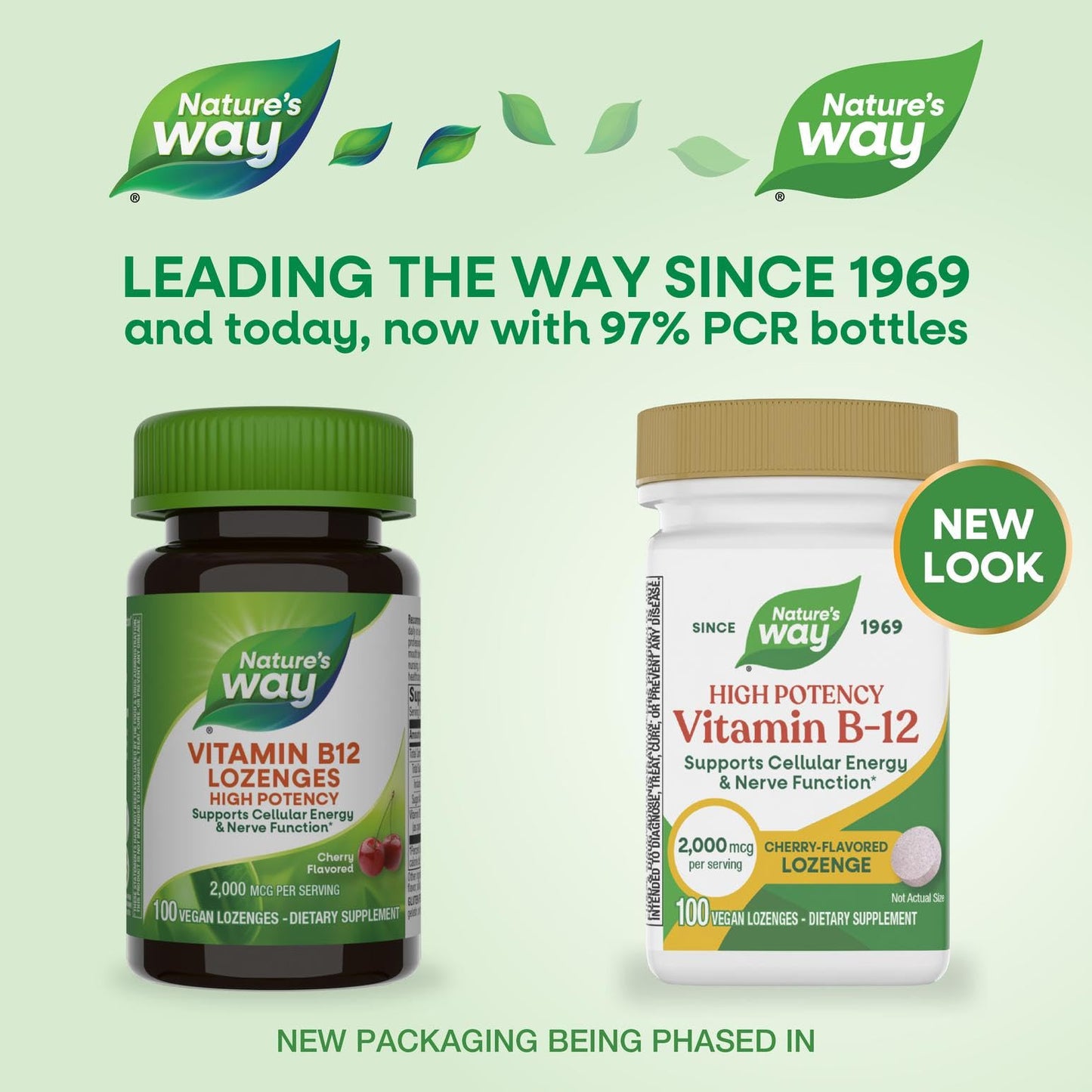 Nature's Way High Potency Vitamin B-12 Lozenges, 2,000 mcg per Lozenge, 100 Count