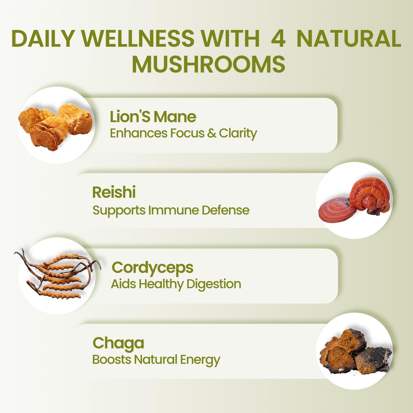 PUTRIZEN High-Efficiency Mushroom Complex Supplement Capsule 90 Count