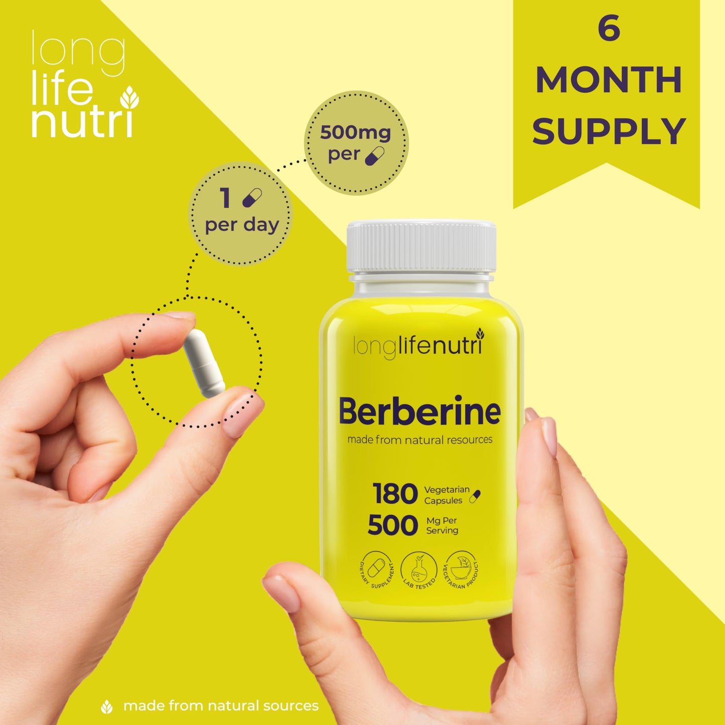 LongLifeNutri Berberine 500mg HCL Extract Vegetarian Capsules, 180 Count