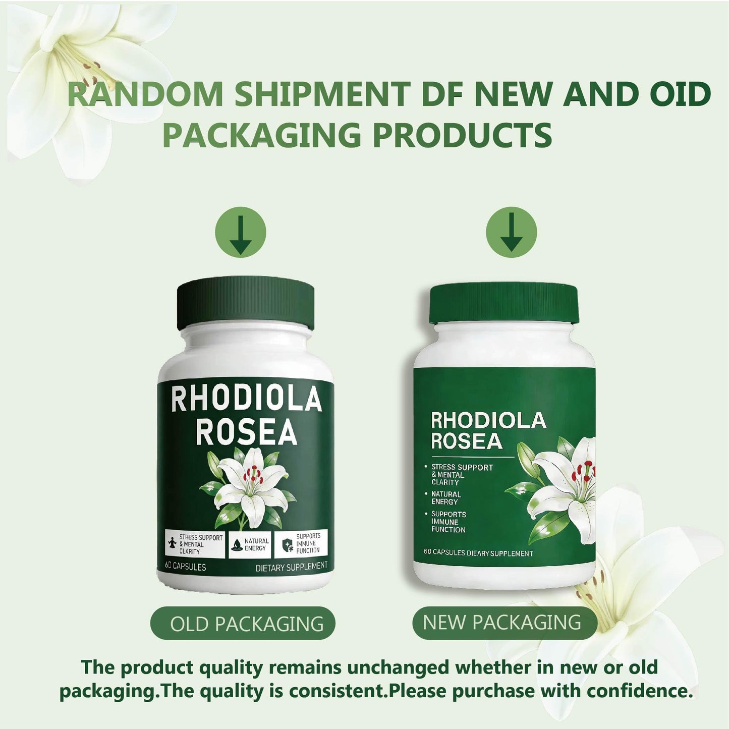 InstaLift Rhodiola Rosea 500mg Capsule, 60 Capsules