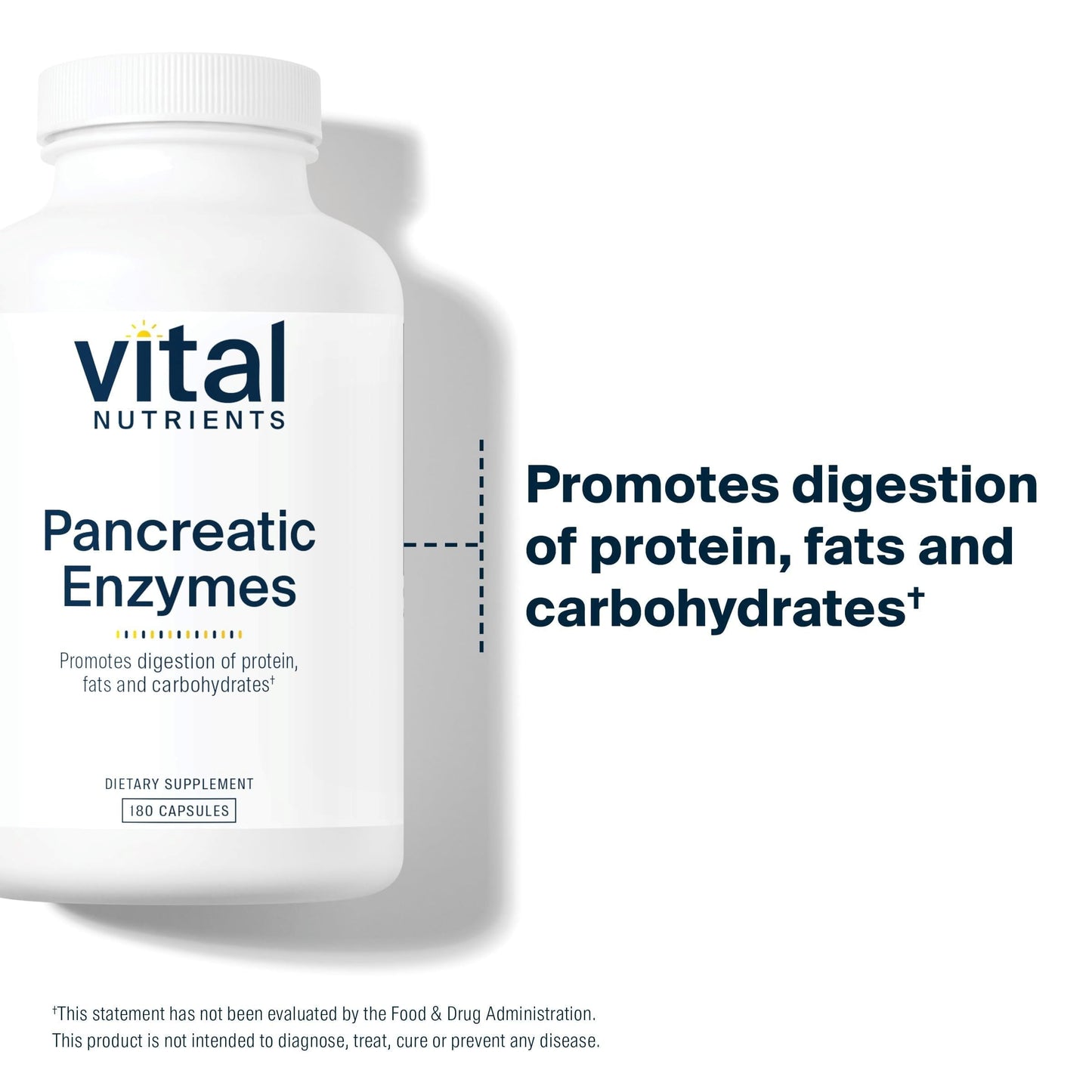 Vital Nutrients Pancreatic Enzymes 1000mg Pancreatin Digestion Supplement with Protease, Amylase & Lipase, 180 Capsules
