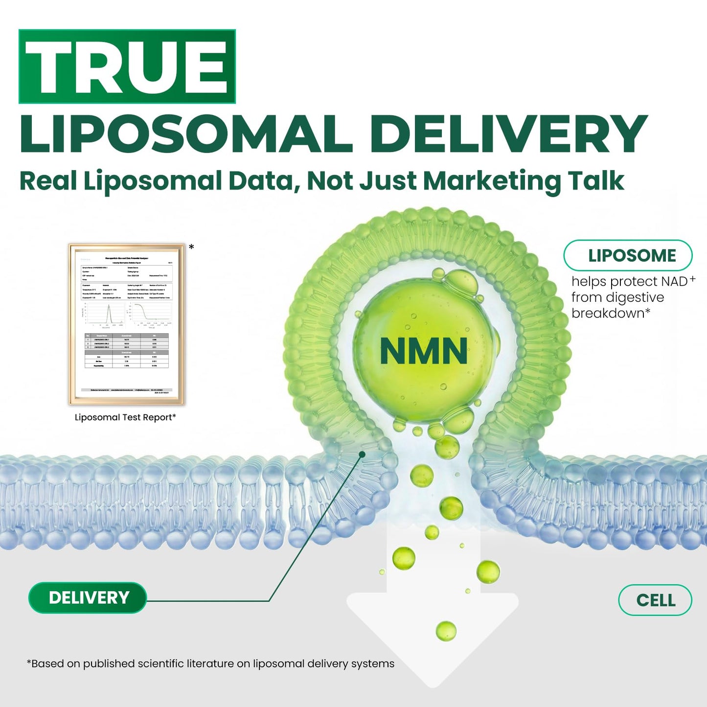 Heth Liposomal NMN Capsule 1000mg, 4-in-1 NAD+ Precursor Supplement, 60 Count