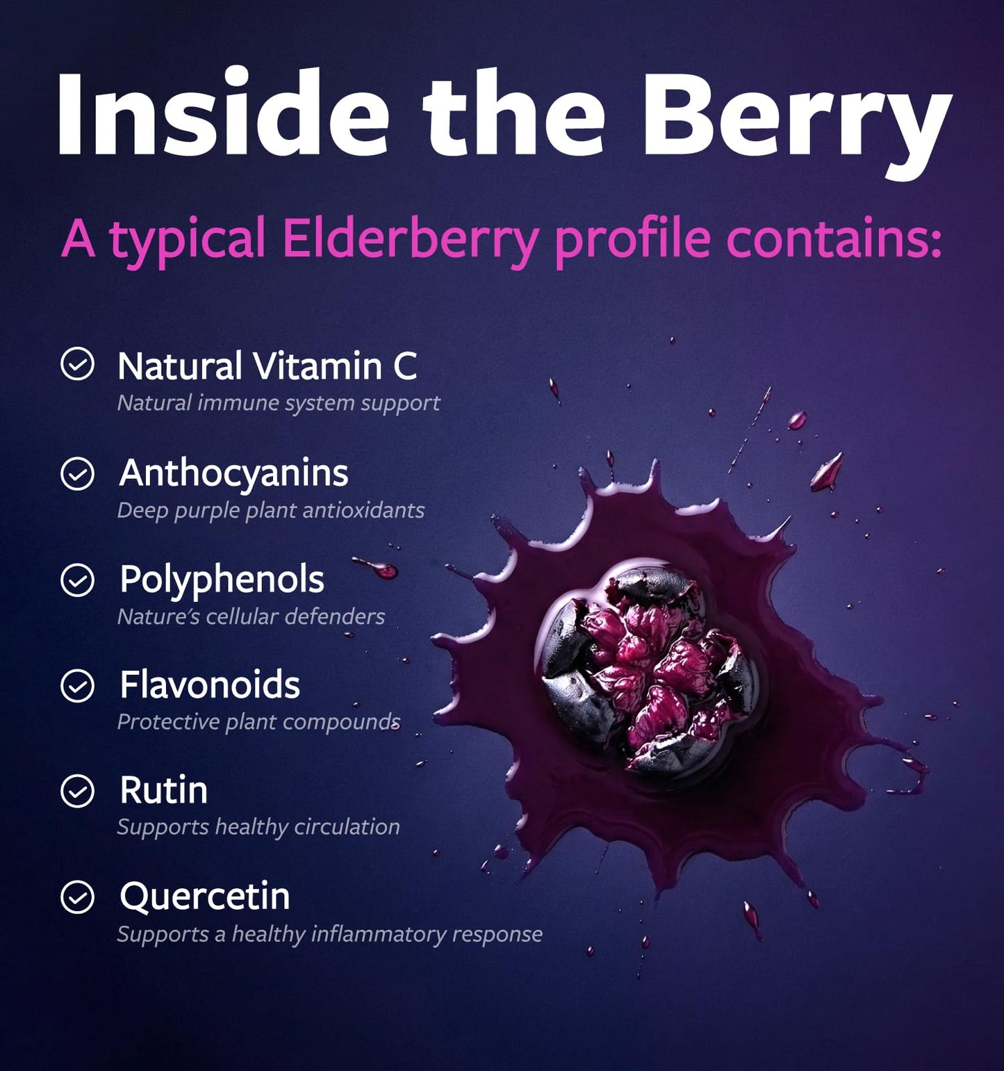 PURE CO Organic Elderberry 10:1 Extract 500mg per Capsule, 60 Capsules