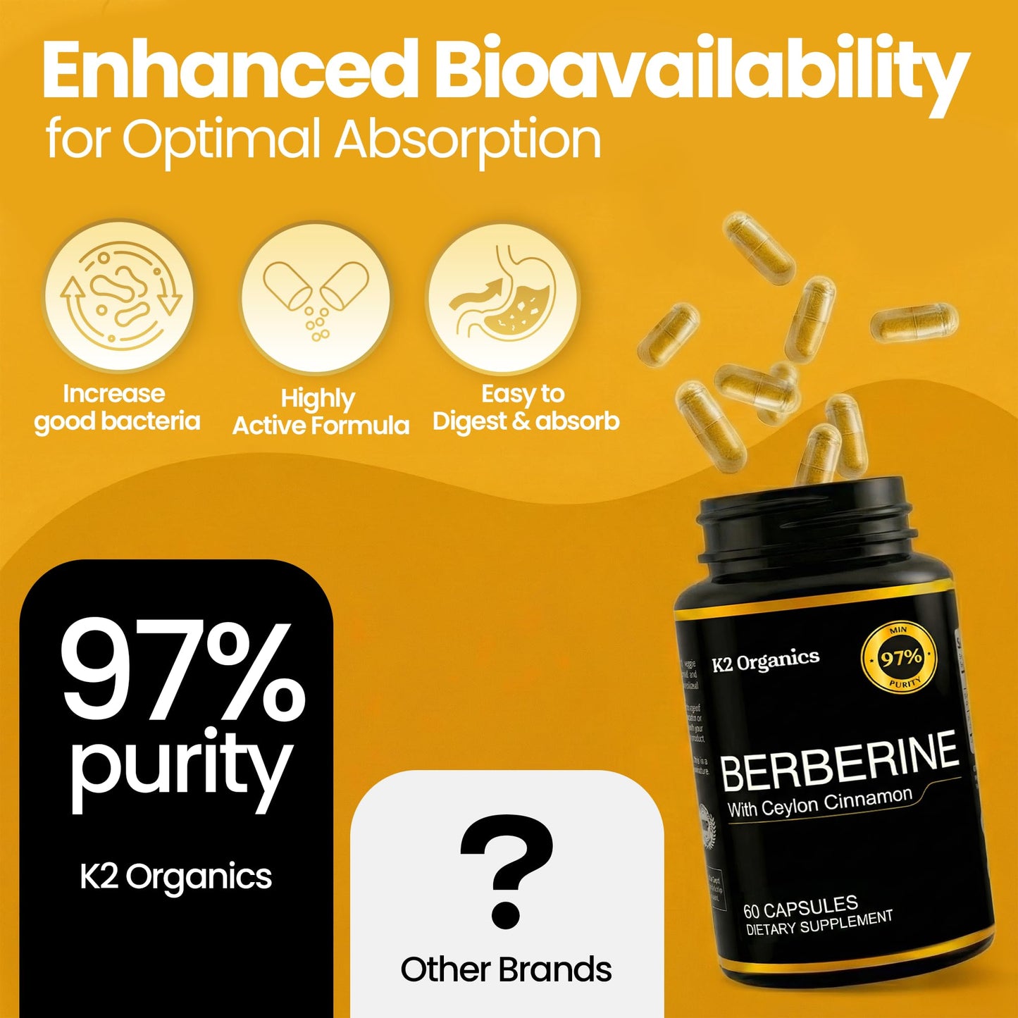 K2 Organics Berberine with Ceylon Cinnamon 1200mg Capsule, 60 Count