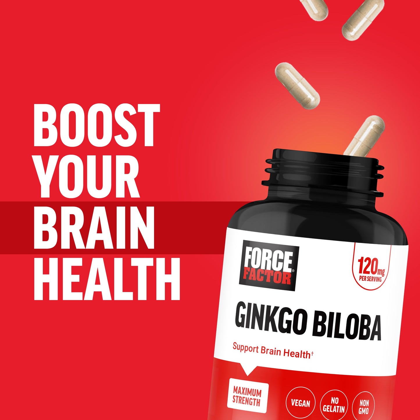 Force Factor Ginkgo Biloba Brain Health Supplement Capsule 120 Count