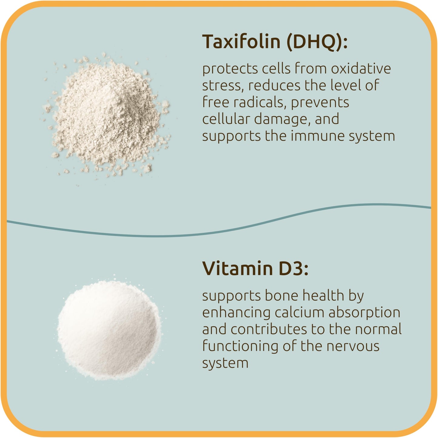 BiotaxX Taxifolin (Dihydroquercetin) + Vitamin D3 530 mg, 60 Vegan Capsules