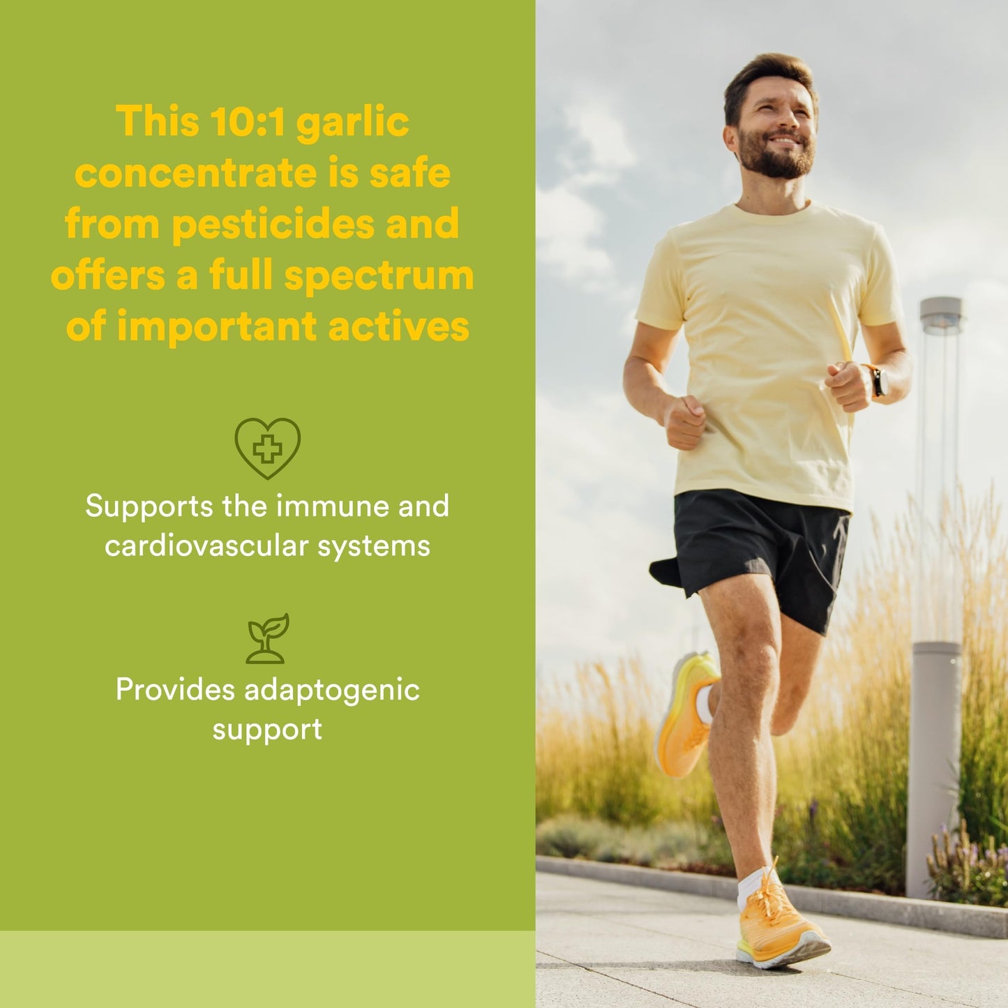 Natural Factors GarlicRich Super Strength Garlic + Reishi Delayed Release Vegetarian Capsules 120