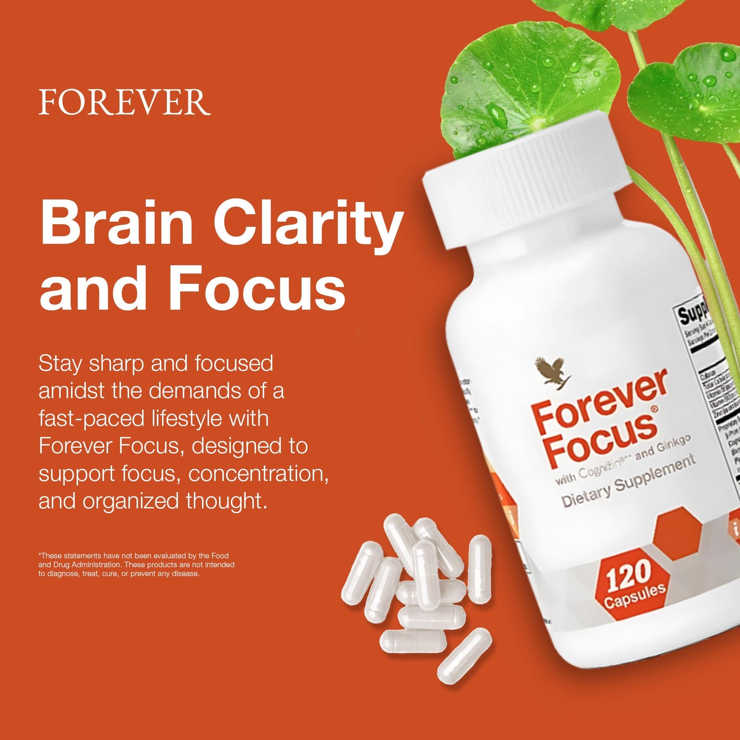 Forever Living Products Forever Focus - Brain Clarity and Focus with Cognizin, Bacopa and Vitamins, 120 Capsules