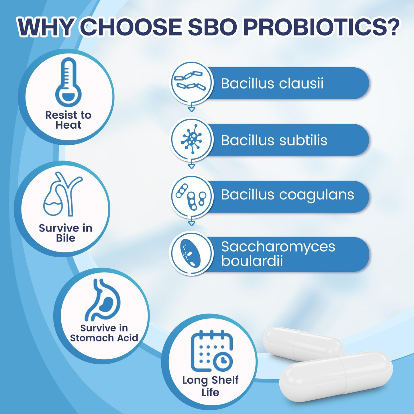Nature Target Probiotics for Women & Men 60 Billion CFU with Prebiotics SBO Probiotics for Digestive Health, Gas & Bloating, 90 Capsules