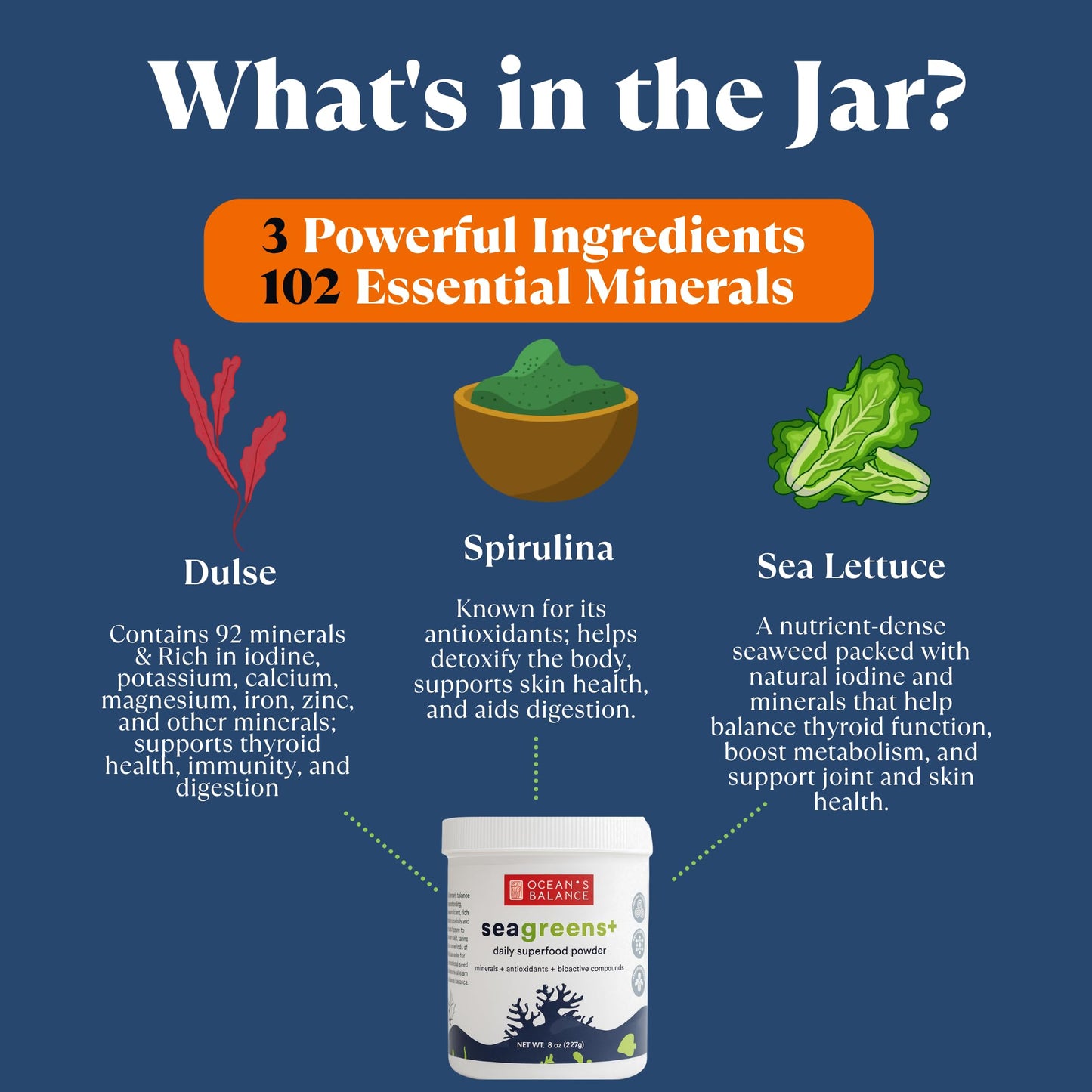 Ocean's Balance Clean Taste of Maine Seagreens+ Daily Superfood Powder, Organic Seaweed Greens Powder with Dulse & Seagreens for Energy, Digestion & Immune Support, Non-GMO, 8 oz