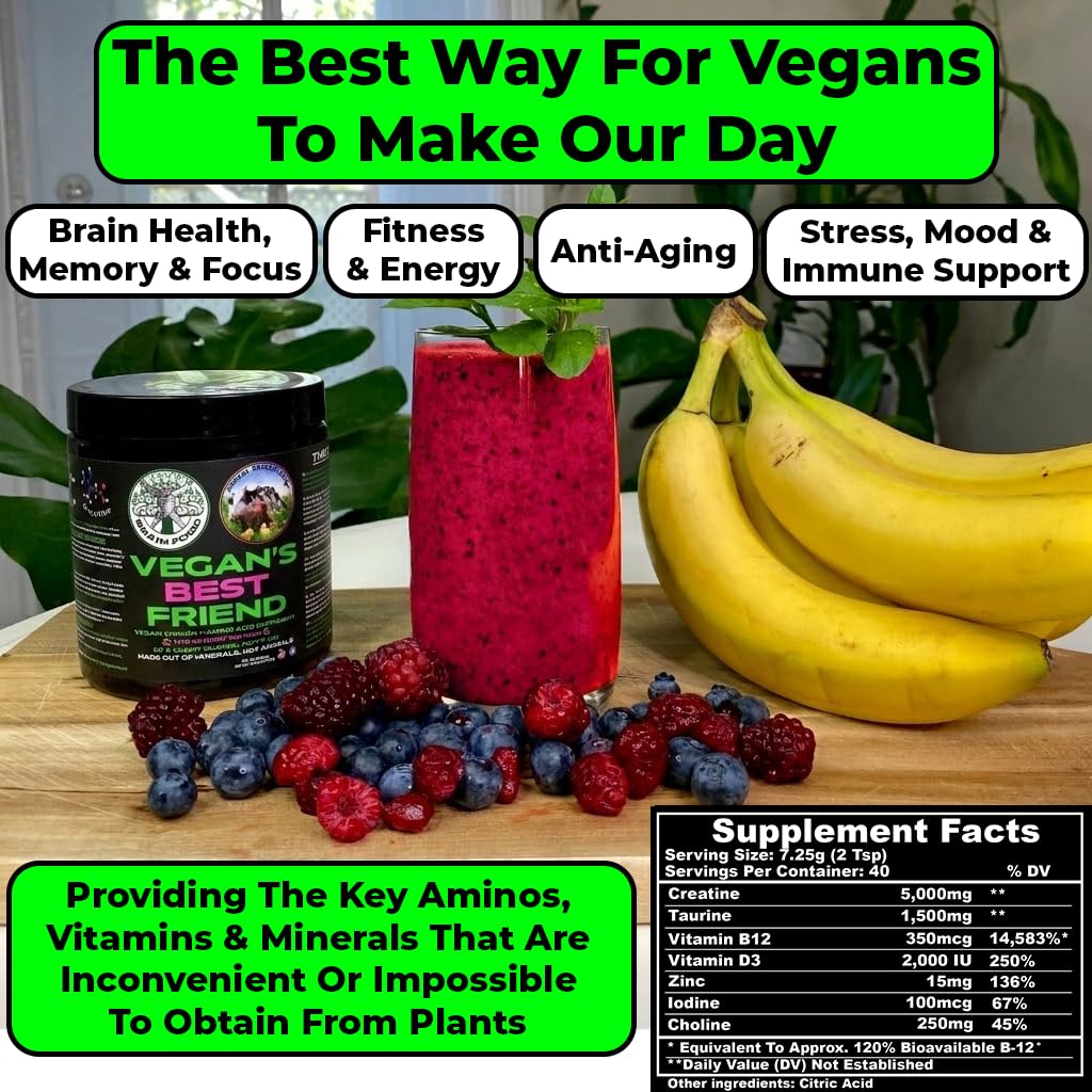 Vegan Brain Food Vegan's Best Friend Plant Based Multivitamin for Men & Women - Brain, Memory, Energy, Immune, Mood & Stress Support - Powder 10.6 oz
