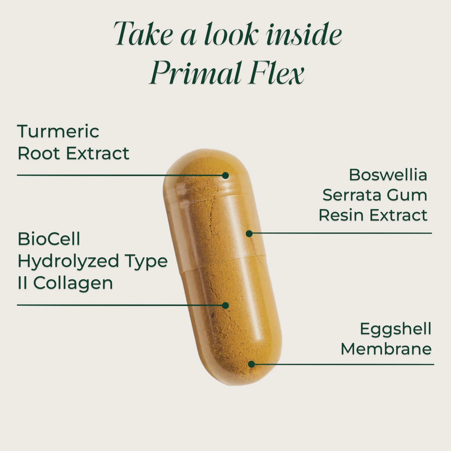Primal Harvest Primal Flex with Turmeric, Hyaluronic Acid, Type II Collagen and Boswellia for Joint Comfort, Flexibility and Mobility Support 60 Capsules