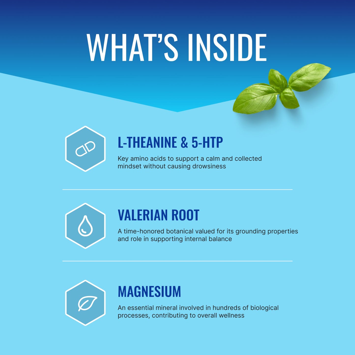 Approved Science Anxietex - Calm and Relaxation - L-Theanine and Magnesium Capsules, 180
