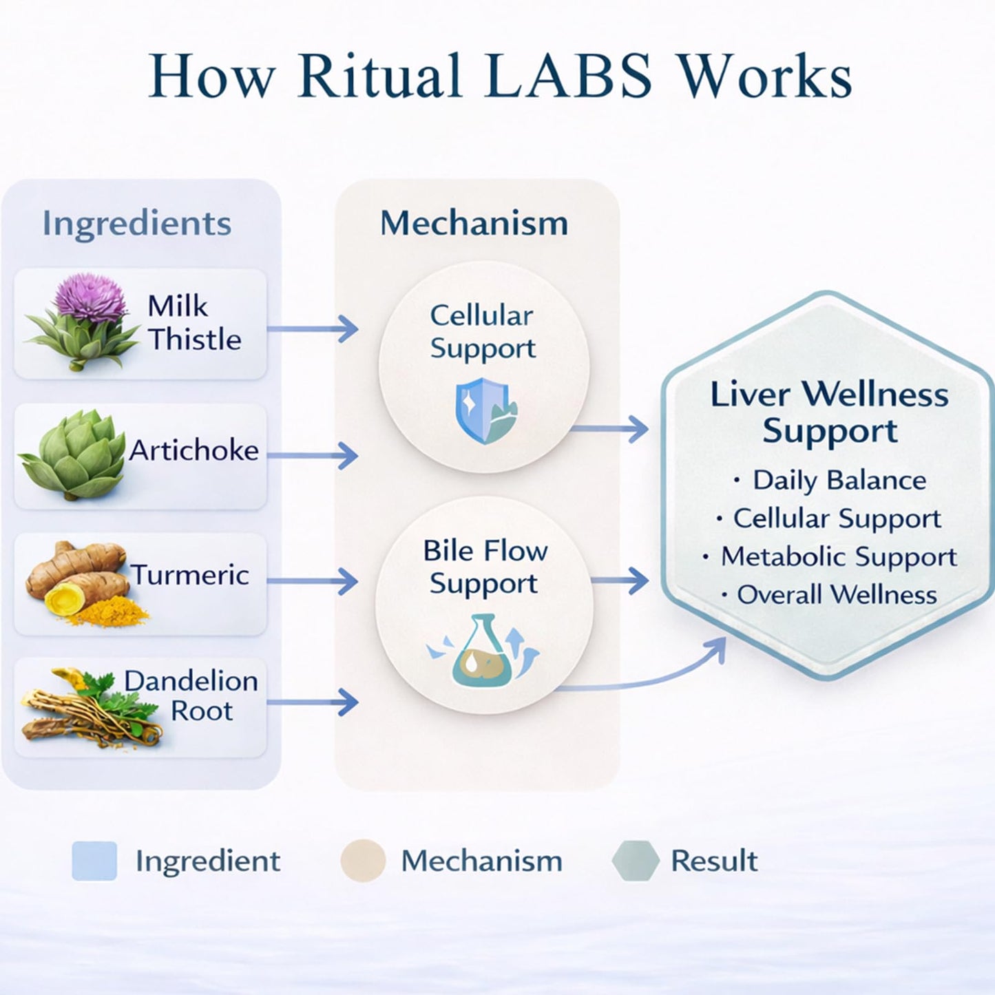 Ritual Labs Liver Support Capsules, 60 Count