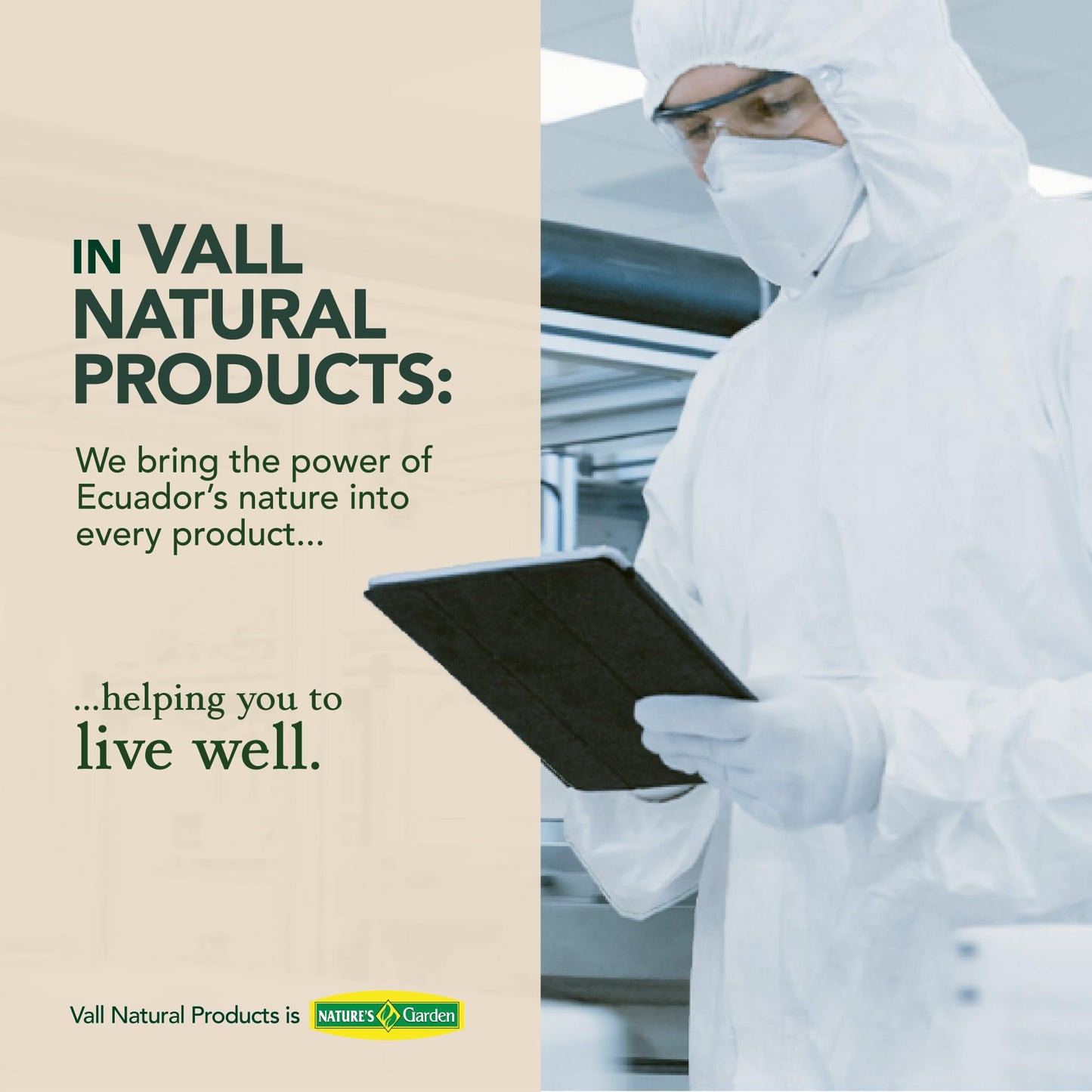 Vall Natural Products Hepalive Liver Support Supplement Capsule, 40 Count